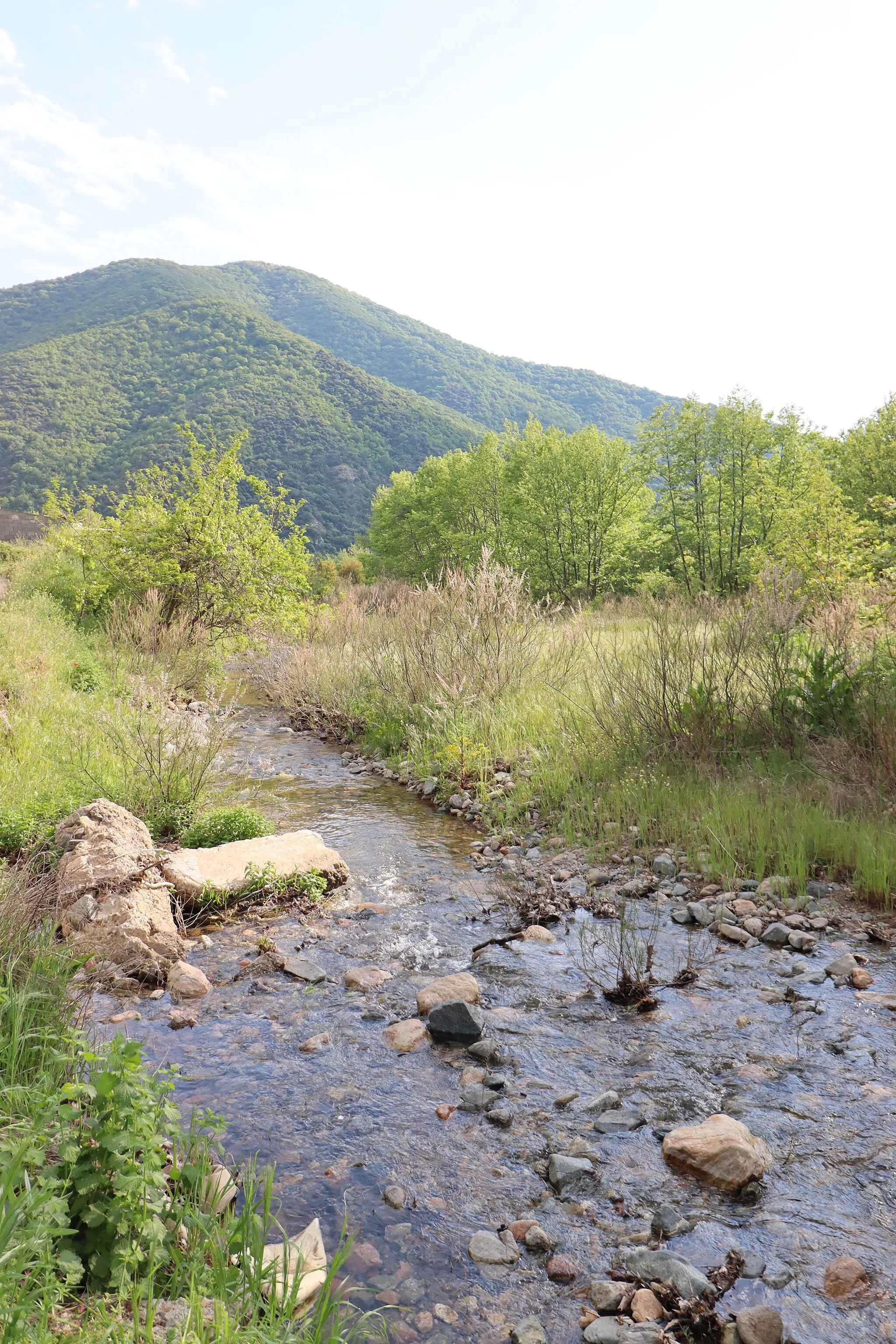 Photo showing: The flow of Gradec River