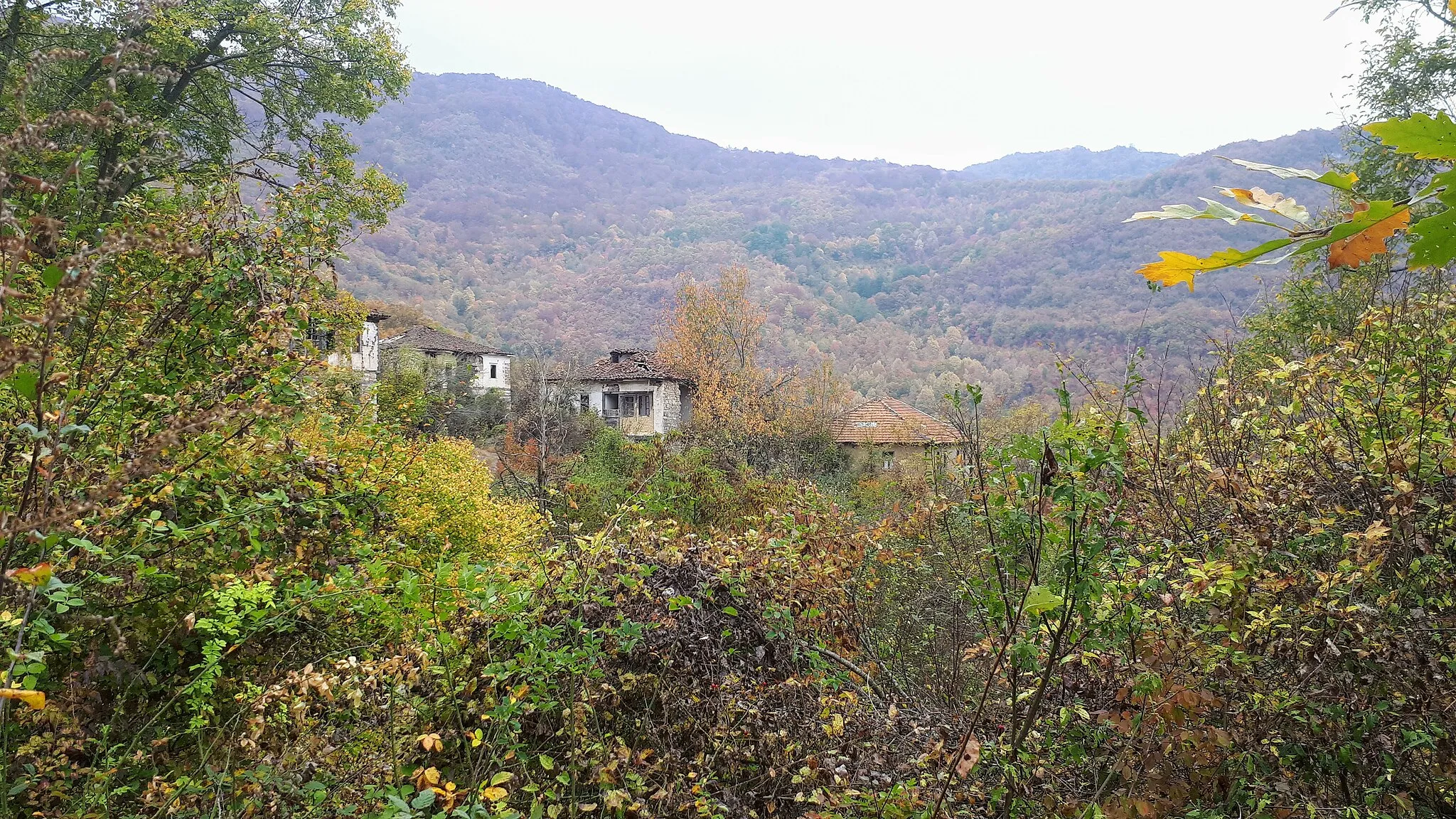 Photo showing: View of the village Podvis