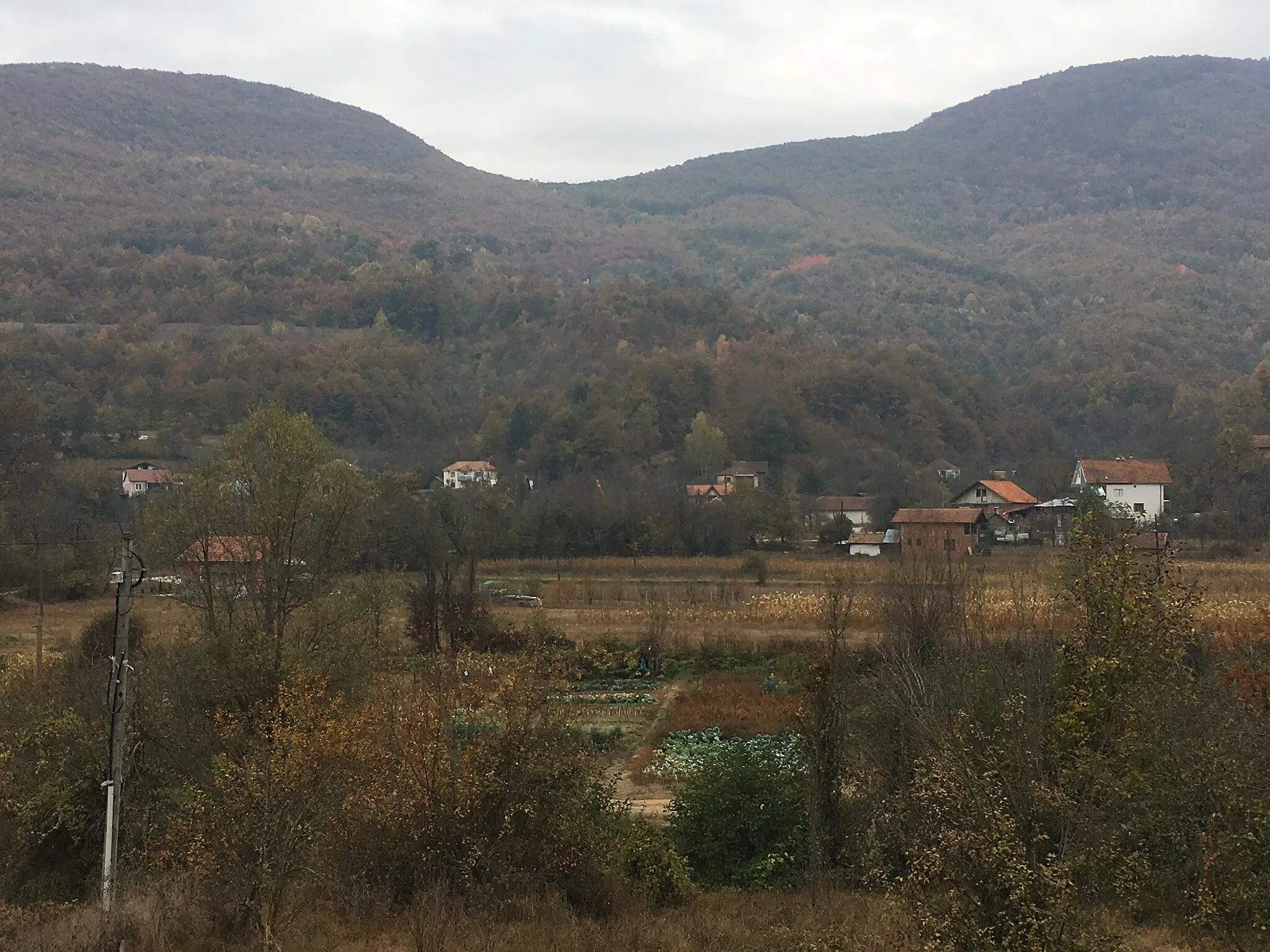 Photo showing: Wikiexpedition to Kopačka