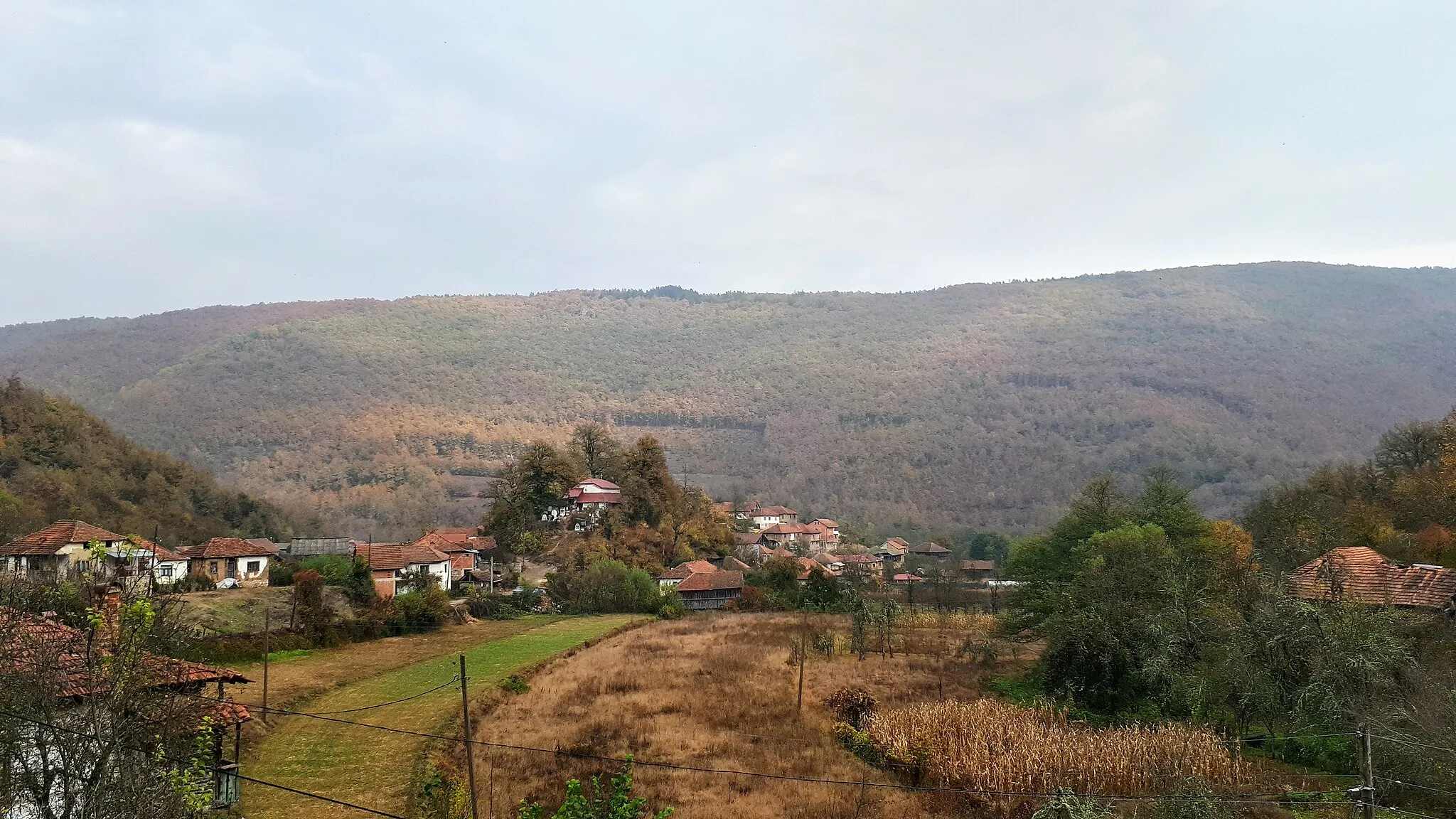 Photo showing: Panoramic view of the village Svinjište