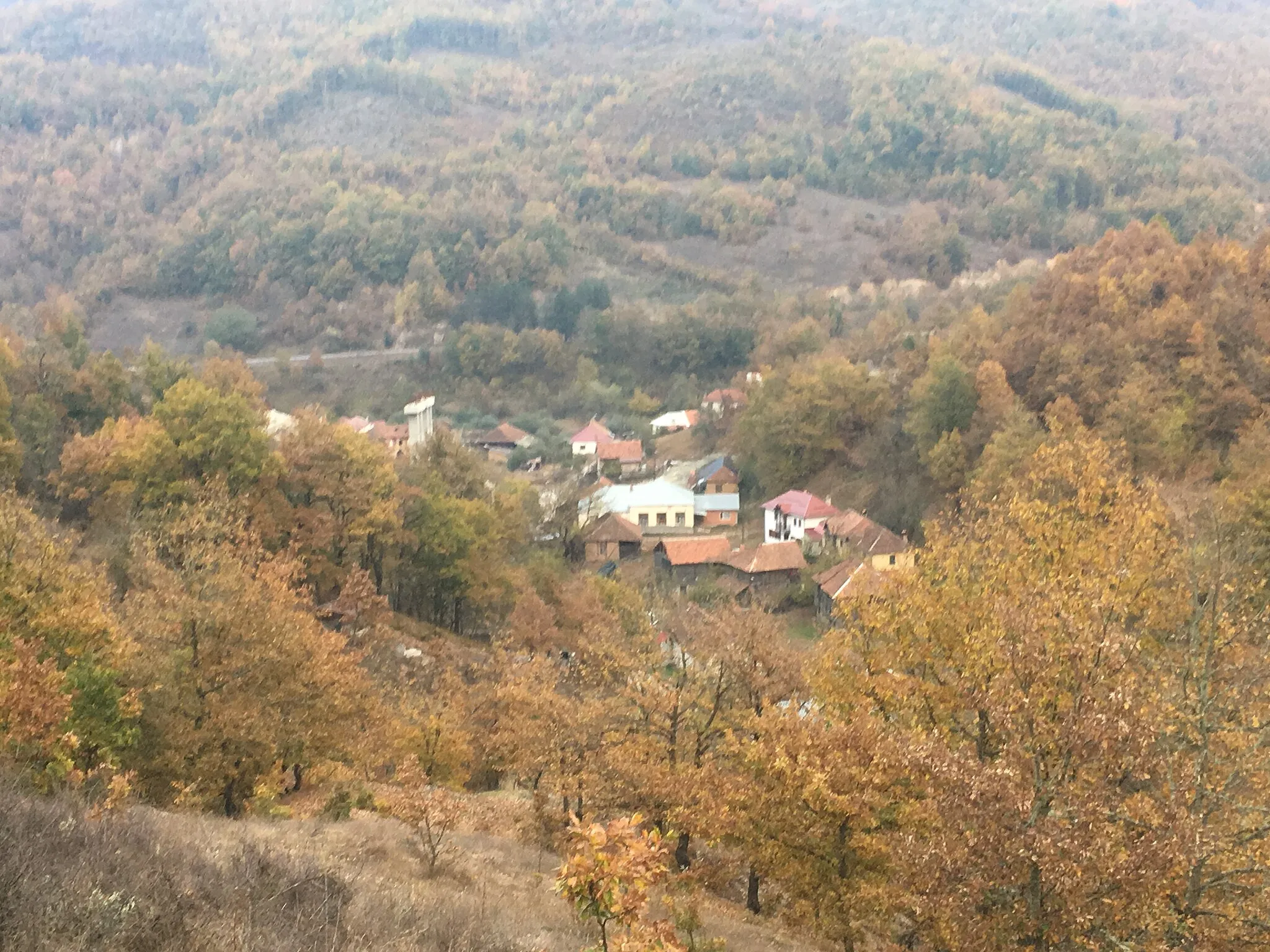 Photo showing: Wikiexpedition to Kopačka