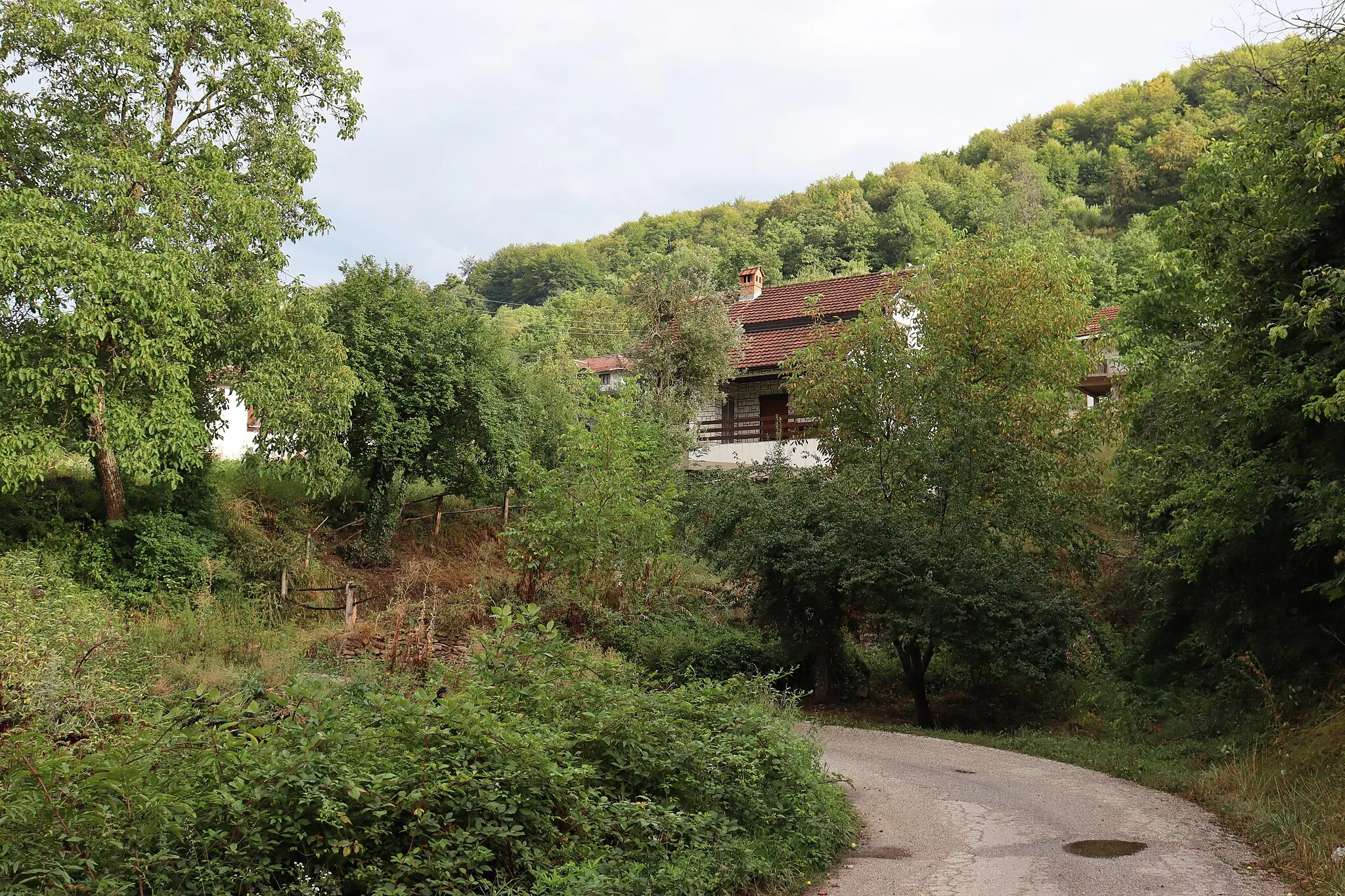 Photo showing: A view of the village of Železna Reka
