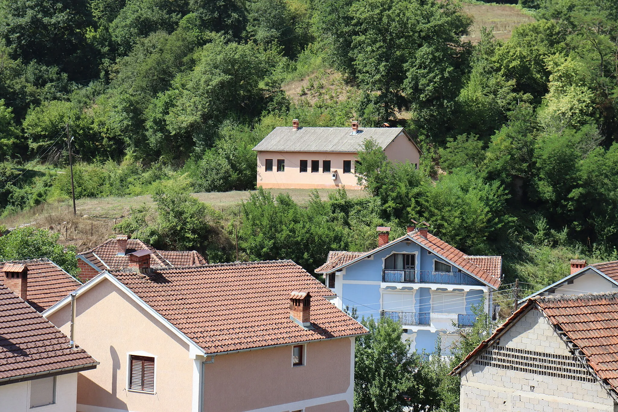 Photo showing: Houses in the village of Dolna Ǵonovica