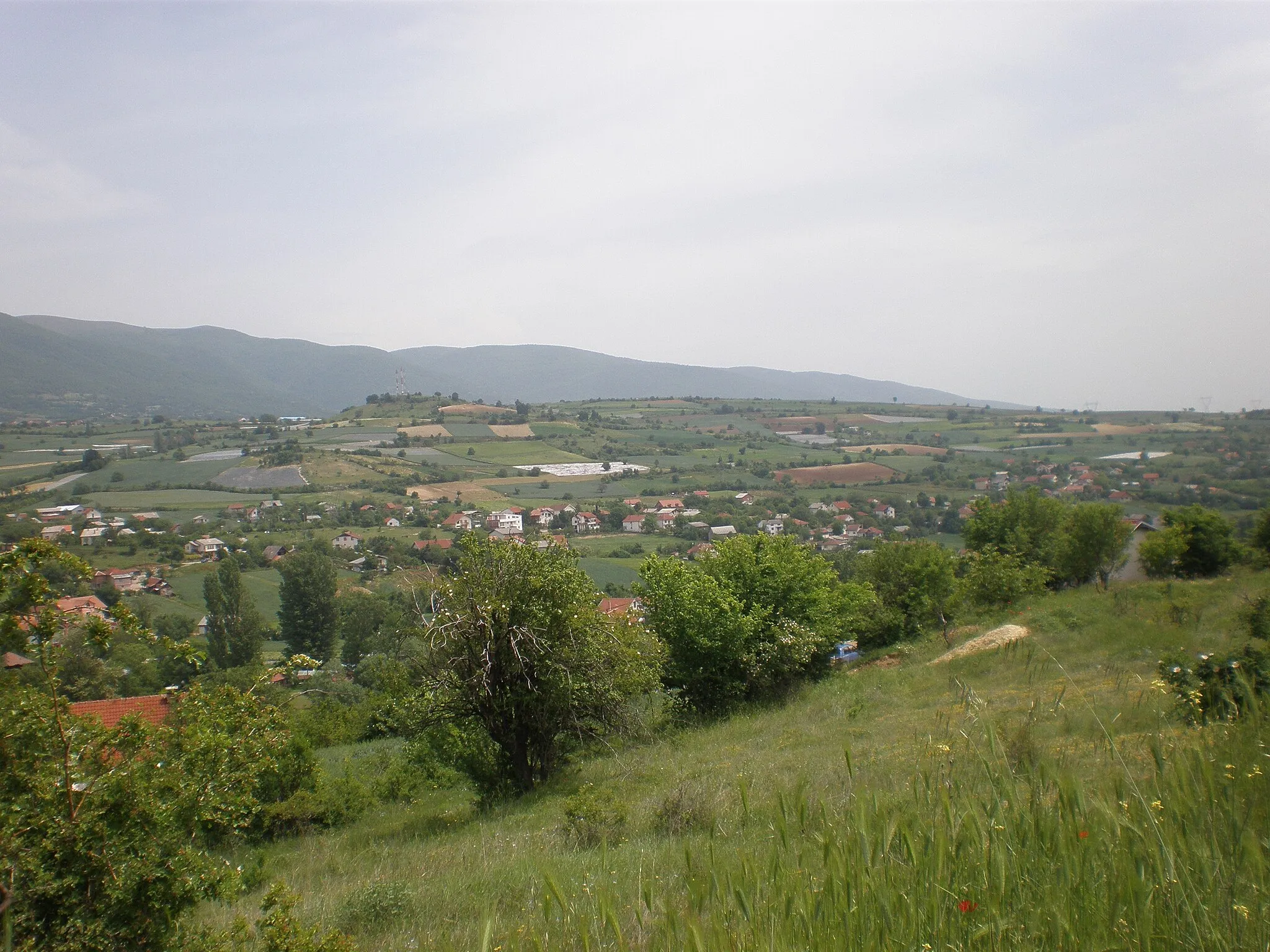 Photo showing: Поглед на дял от Радишани от запад.