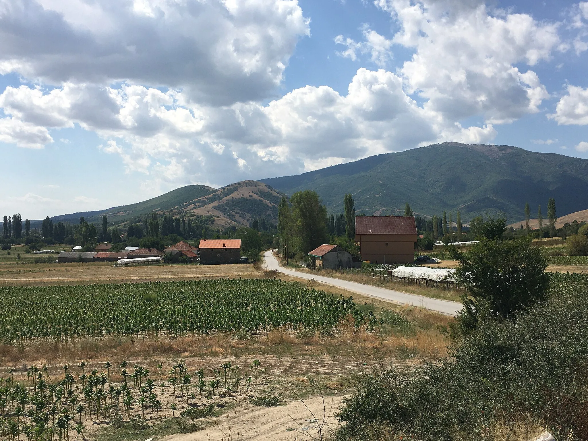 Photo showing: A view of the village of Bučin