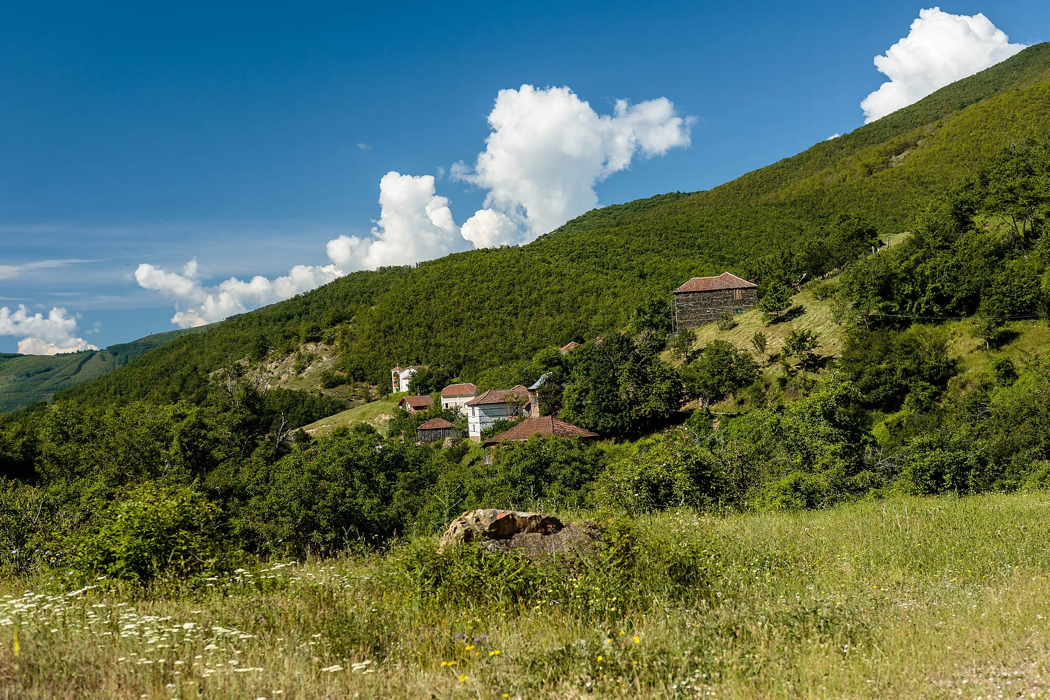 Photo showing: A view of the village Dolno Divjaci