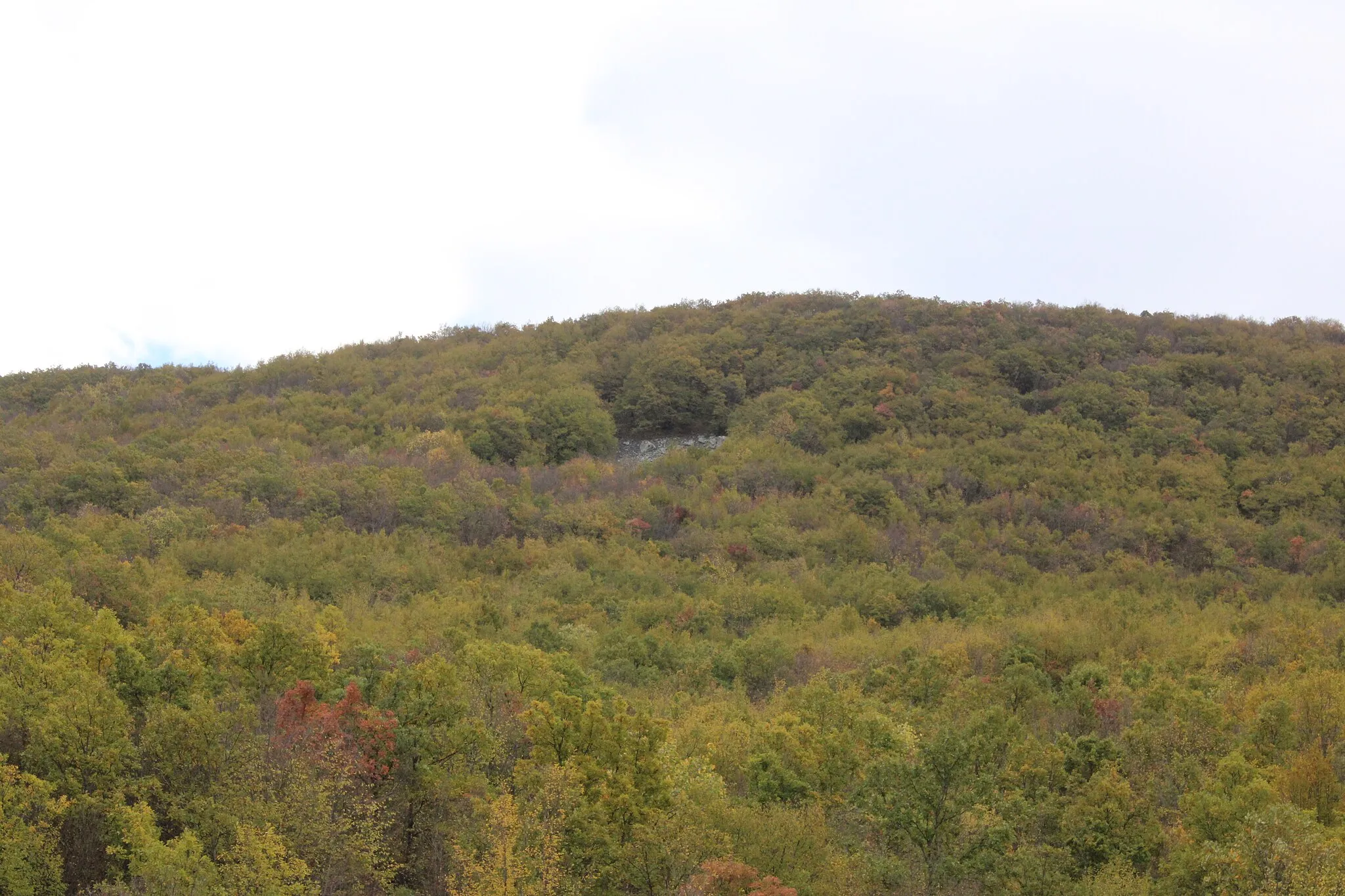 Photo showing: The Zdravec hill of Gradištanska Mountain, located in the periphery of Divlje.