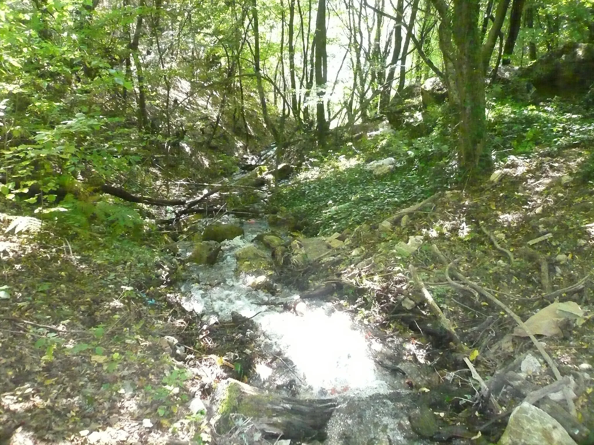 Photo showing: River Kaluđer in Rogačevo, Macedonia