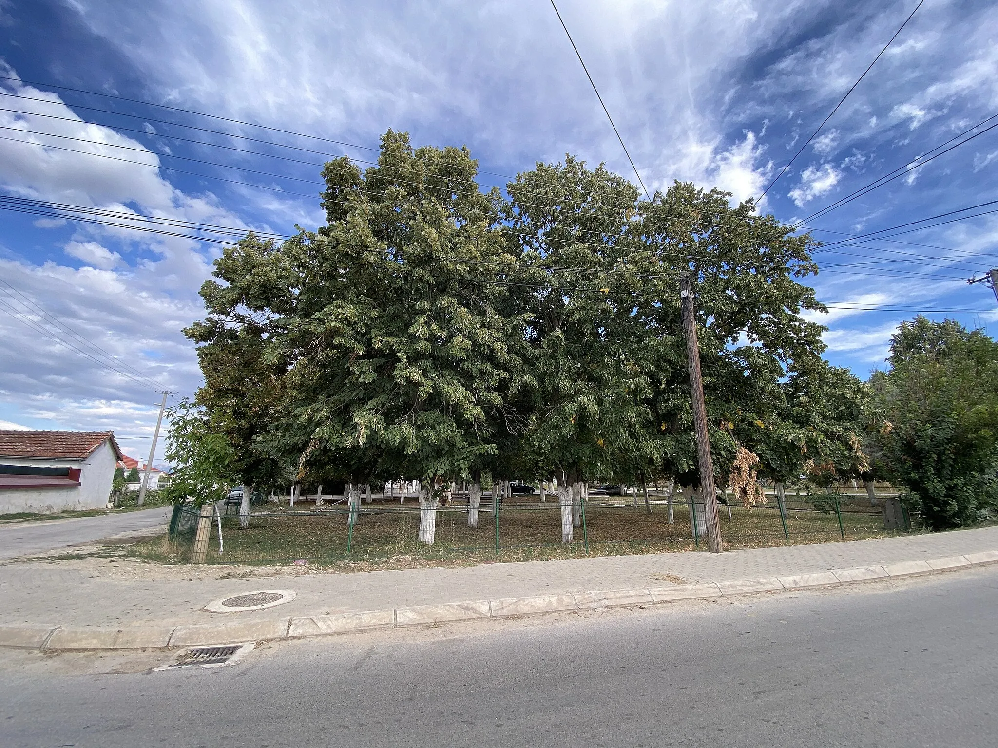 Photo showing: A park in the village of Krivogaštani