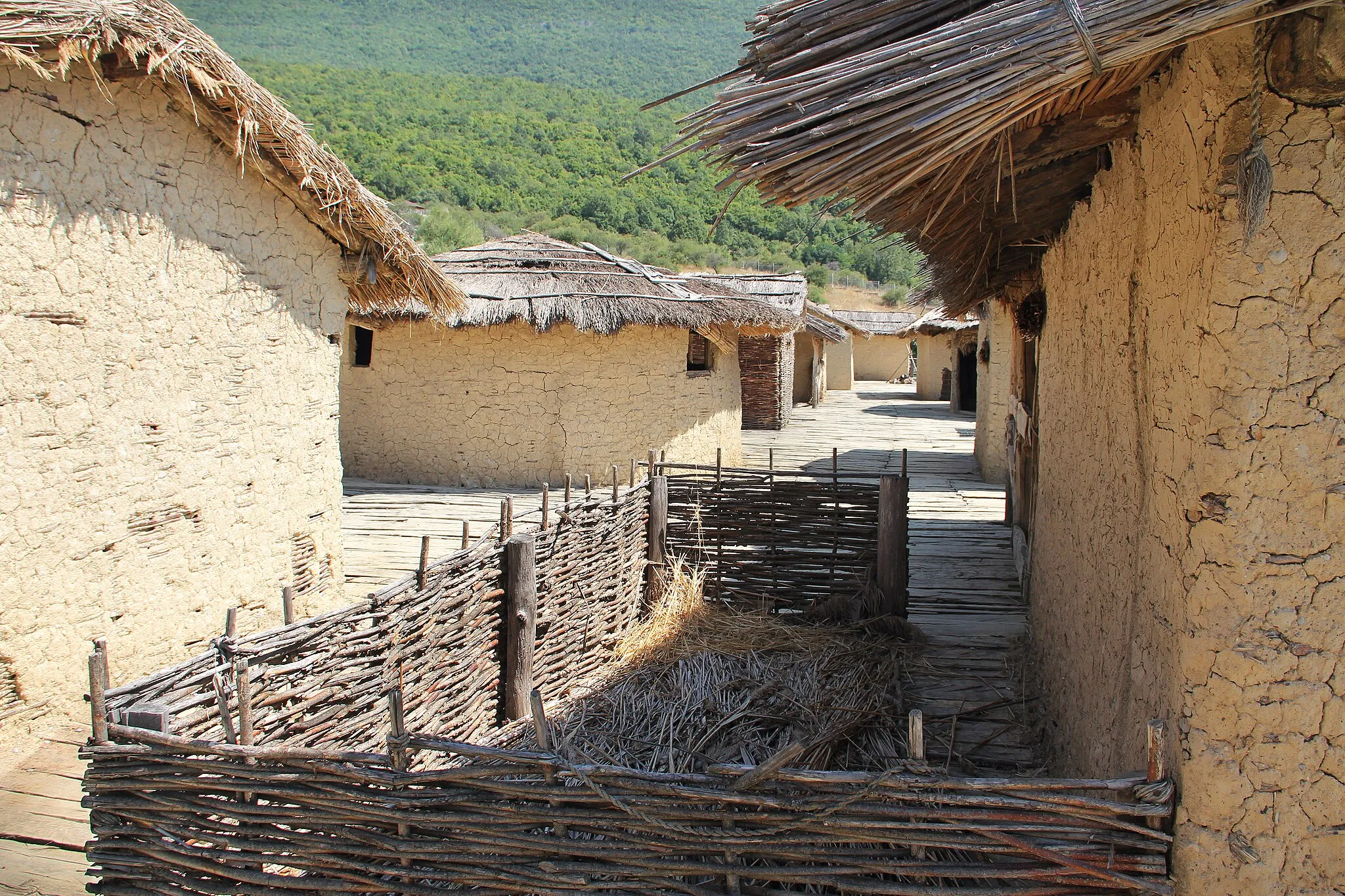 Photo showing: The Museum "Bay of the Bones" on the Lake Ohrid, Macedonia is an exceptional archaeological complex, which is one of a kind in the region.The museum is managed by the National Institution Institute for Protection of Monuments of Culture and Museum – Ohrid, Macedonia. The archaeological open air museum has the nearby underwater archaeological site Plocha Michov Grad as main source, 8,500 square meter large and dating to the Bronze and Iron Age, 1200 – 700 BC. In this period, the Bryges people left to Asia Minor and founded Phrygia in Anatolia. The Plocha Michov Grad has been excavated underwater since 1997 and meant the start for submarine archaeological research in Macedonia. 6,000 piles were discovered so far at a depth of 3-5 metrer, probably a platform once stood here with about 20 houses on it. Many artefacts were discovered, mainly pottery sherds and some complete vessels, stone and flint objects, a few bronze artefacts, many fragments of animal bones some of which used as tools. At some places, the culture layer was 1.5 meter thick.  The platform on which the museum houses are built is about 15-20 meteraway from the shore at a level of about 1.5 meter above water level. Two of the houses have circular form and a diameter between 3.5 – 4.5 m; three are square with base dimensions of 4, 0 - 5,0 m and three rectangular ones with dimensions 4.0 h 8.0 m. They are built on wooden supports with wattle and daub walls. The interconnection is made with ligatures, wooden forked objects and animal skin. The roof constructions made out of wooden beams and thinner branches are covered with straw or reed. The height of the houses is 3.0 to 4.5 m. The interior of the larger houses represent a prehistoric ambiance: beds of animal skin, tools and other objects similar to the original artefact discovered in the course of the underwater archaeological investigations. The settlement is connected with the shore via a wooden bridge with a mechanism for partial lifting and lowering.