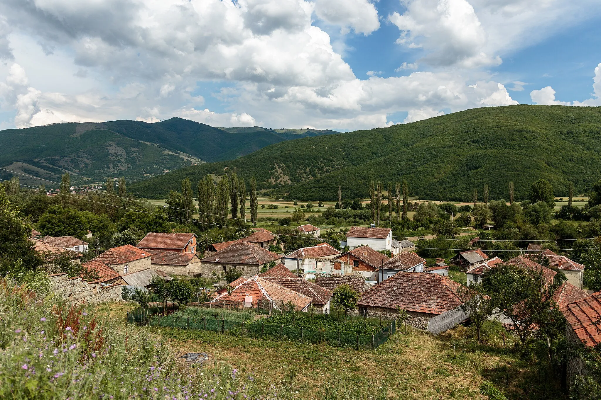 Photo showing: View of the village Graište