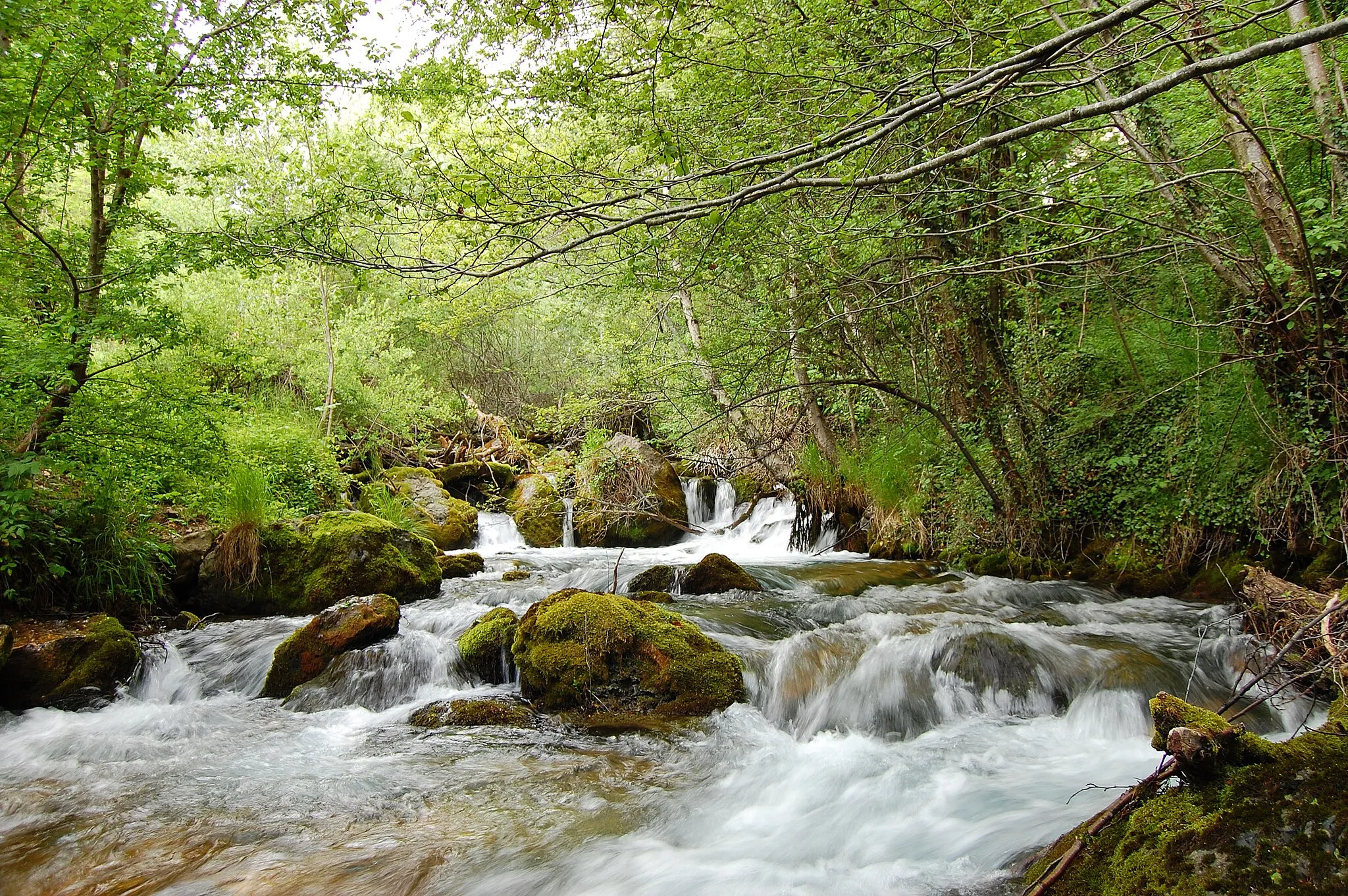 Photo showing: Vevcani springs