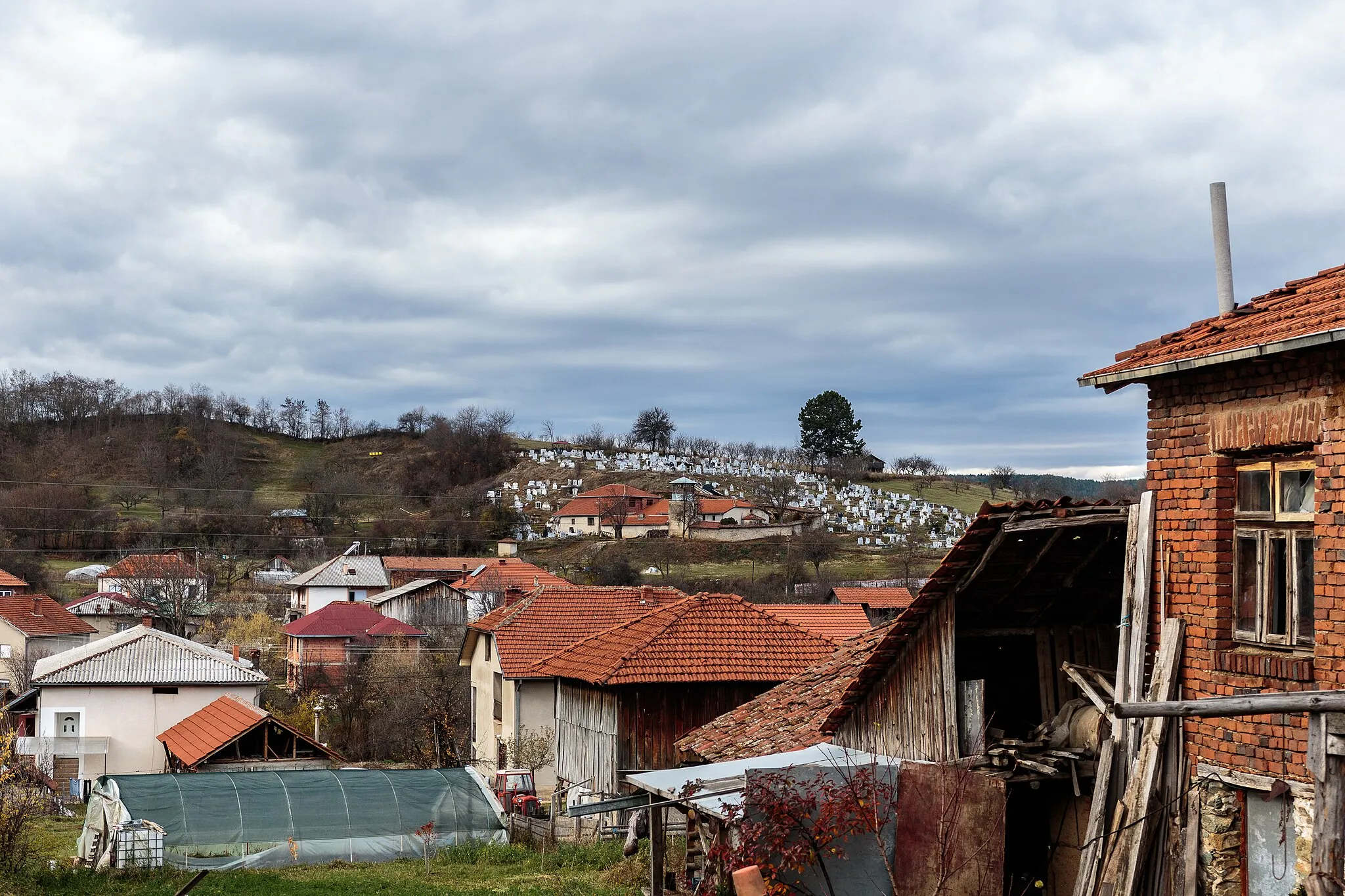 Photo showing: View of the St. Petka Church in the village Rusinovo