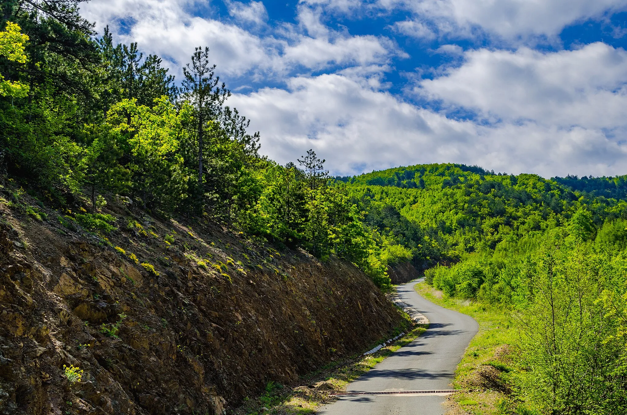 Photo showing: Bojmija