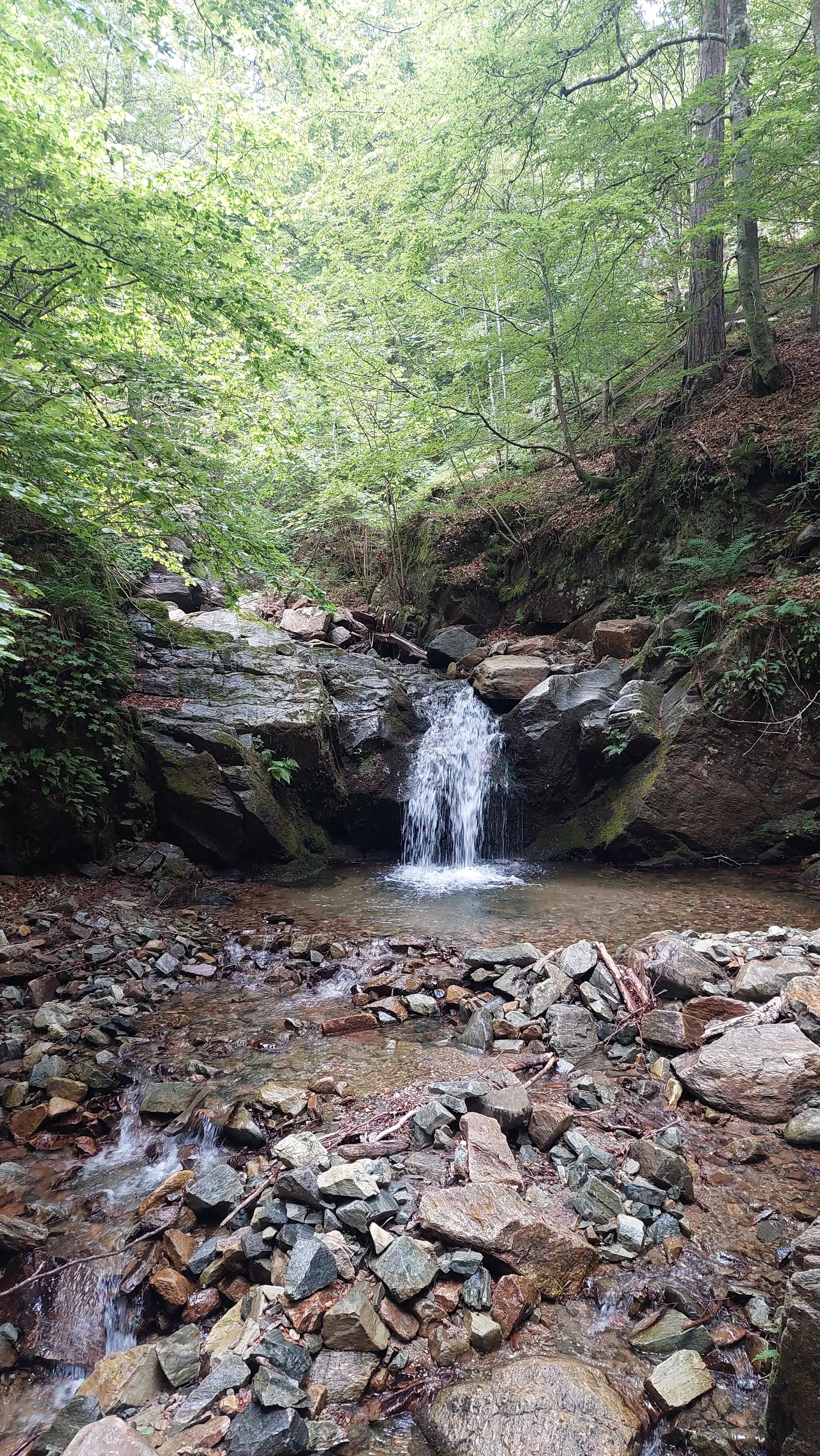 Photo showing: The upper flow of Bregalnica at the Debel Rid locality in Pehčevo Municipality.