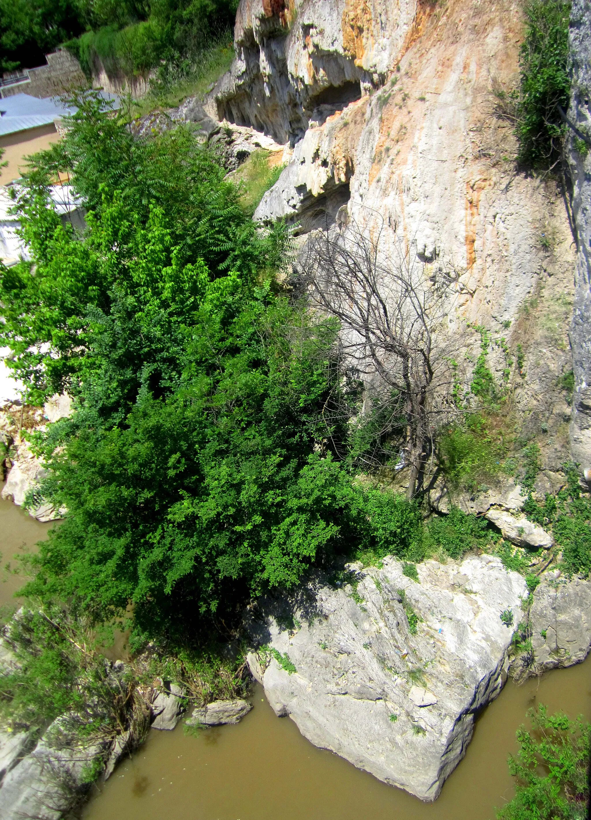 Photo showing: Rocky part by the  Pcinja River.