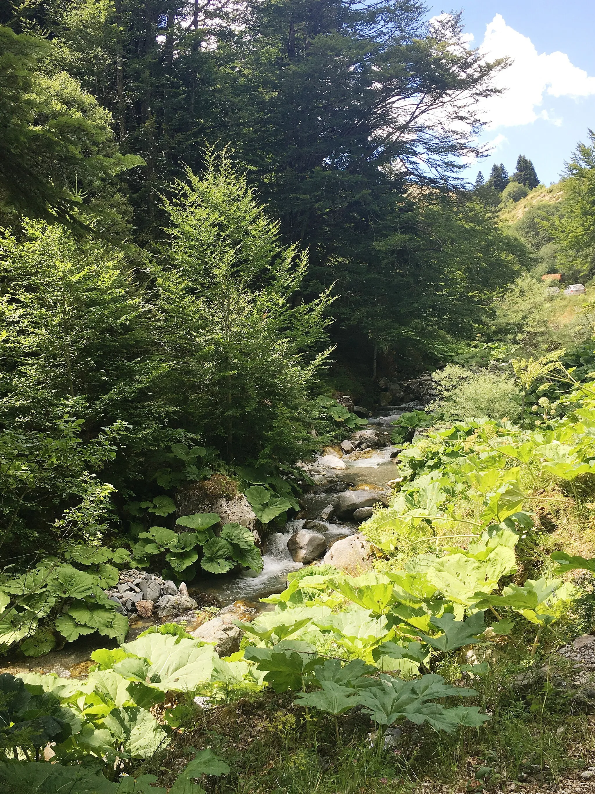 Photo showing: The valley of river Štirovica near the eponymous historical village