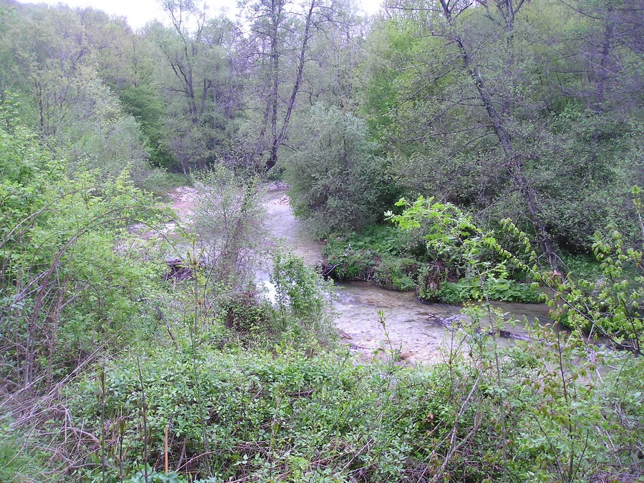 Photo showing: Реката Бабуна в Азот, снимана от пътя Богомила - Папрадище.