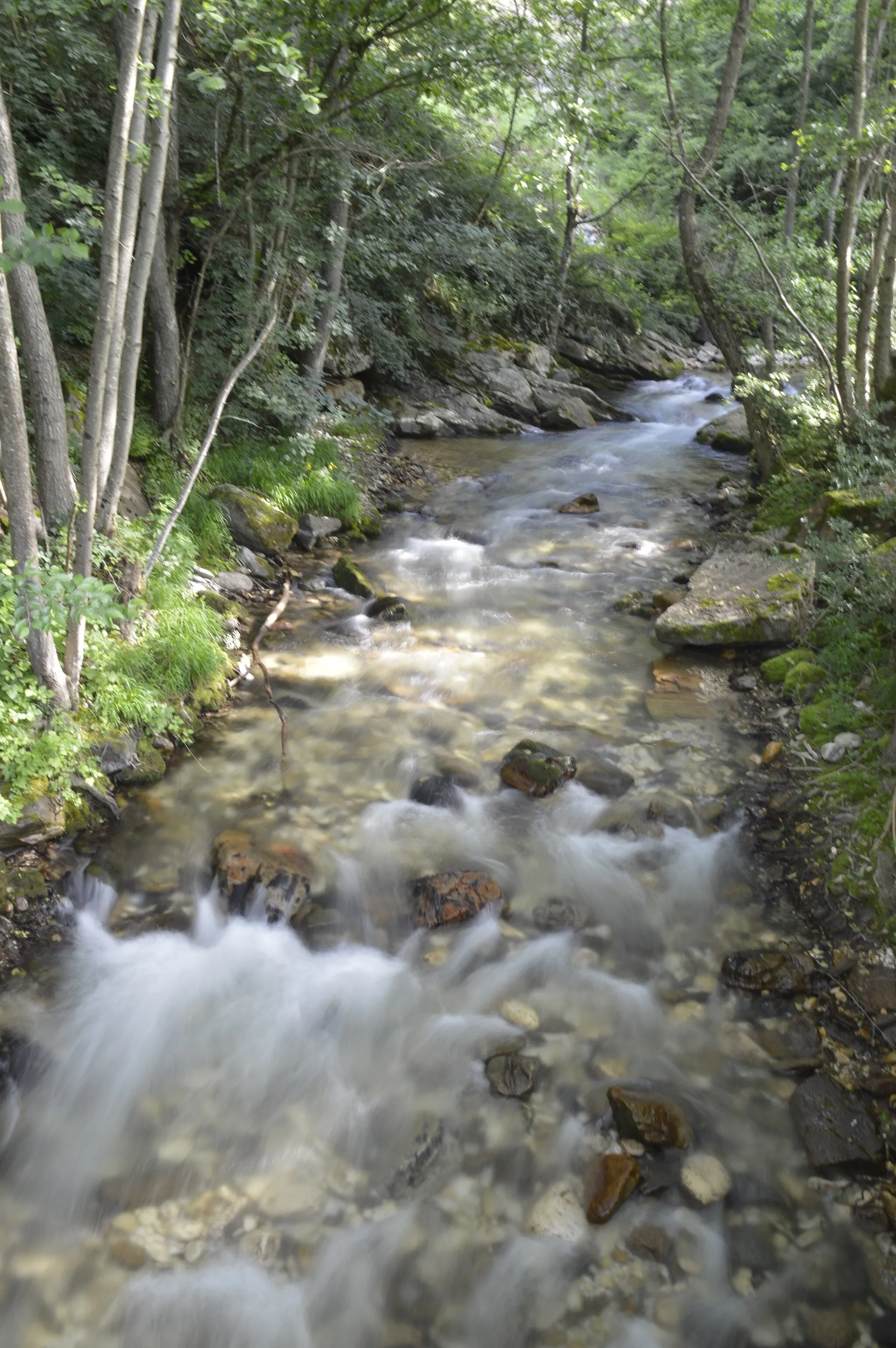 Photo showing: River Babuna between villages Bogomila and Nežilovo