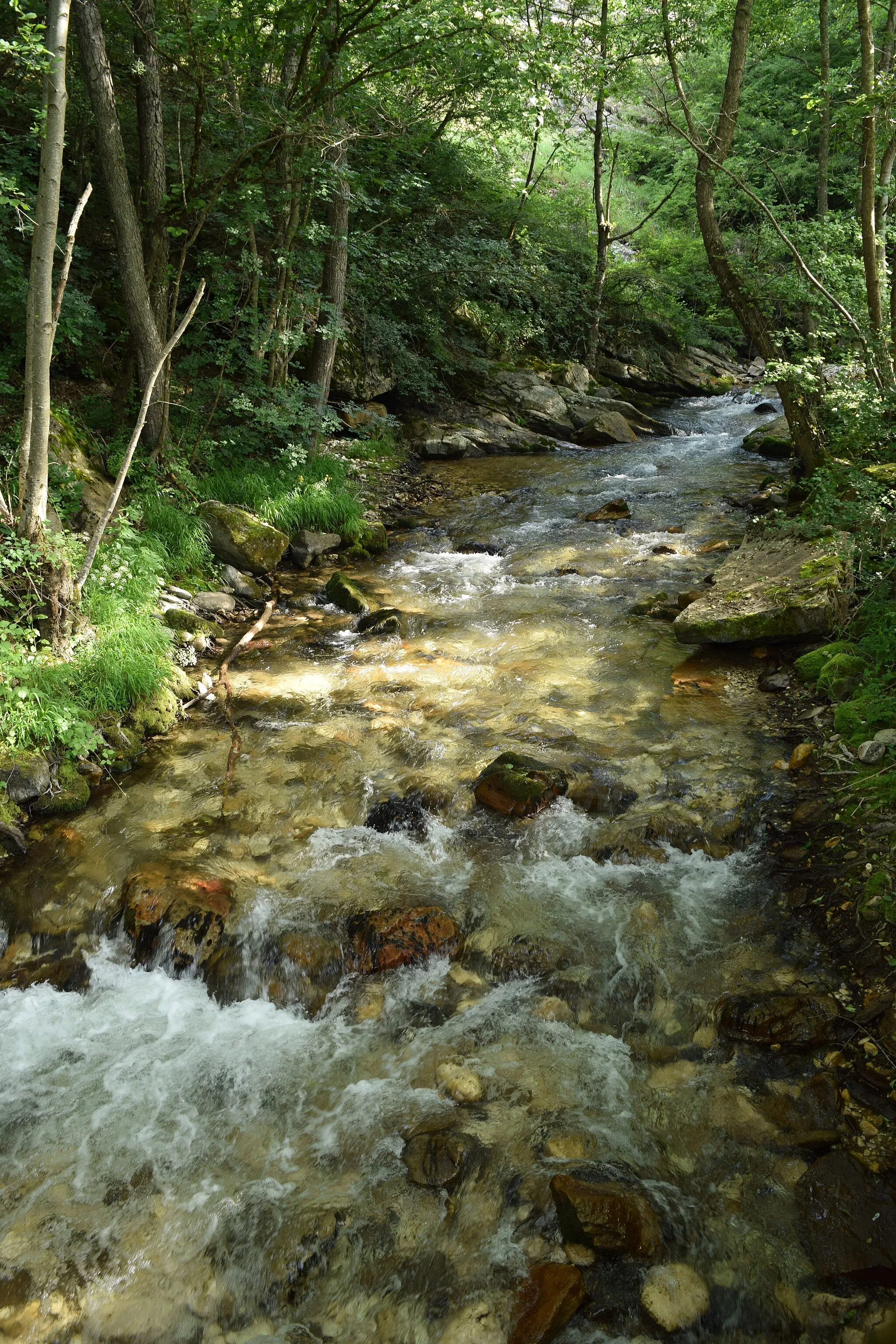Photo showing: River Babuna in the village Nežilovo