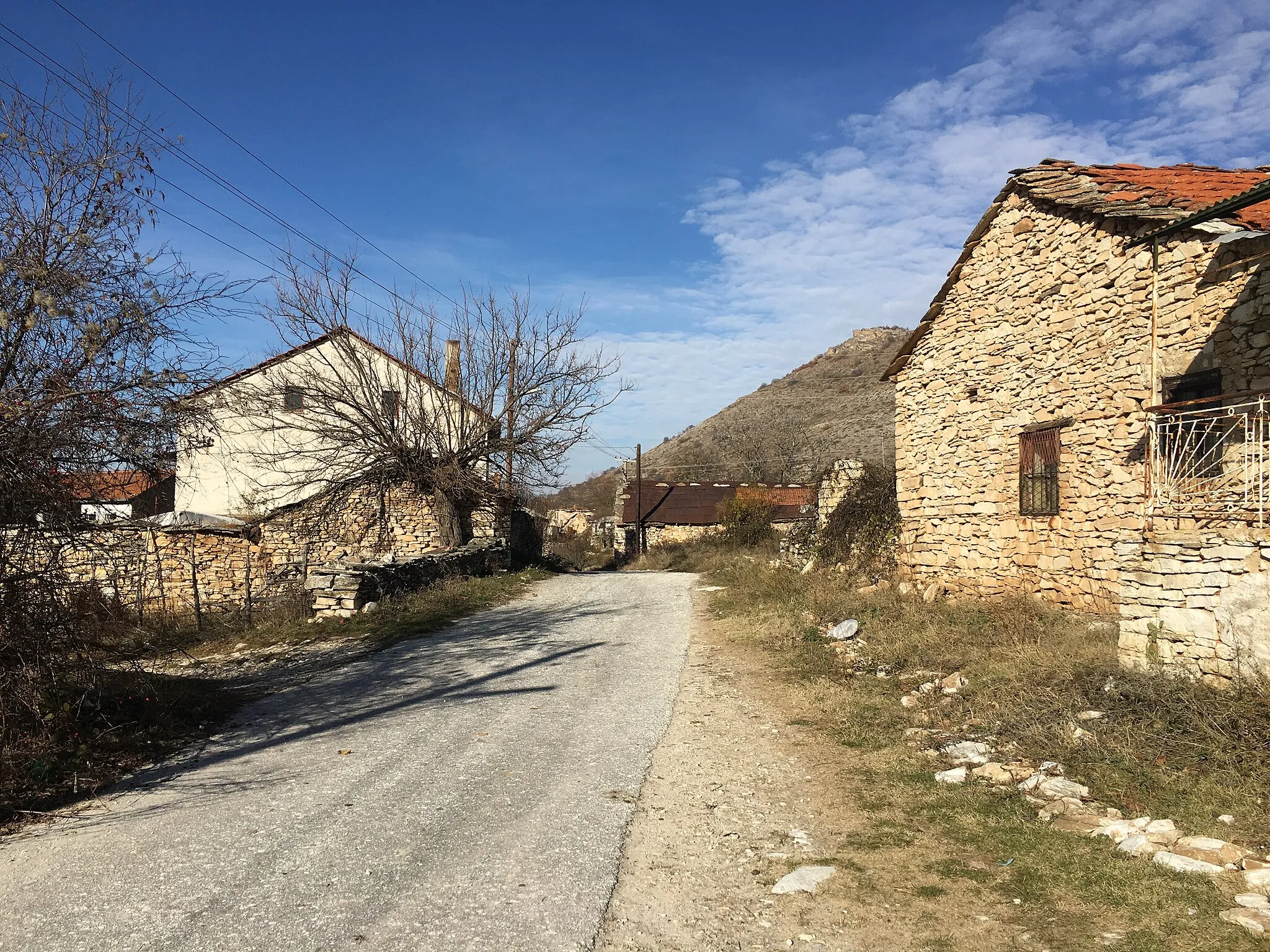 Photo showing: Road through the village of Pletvar