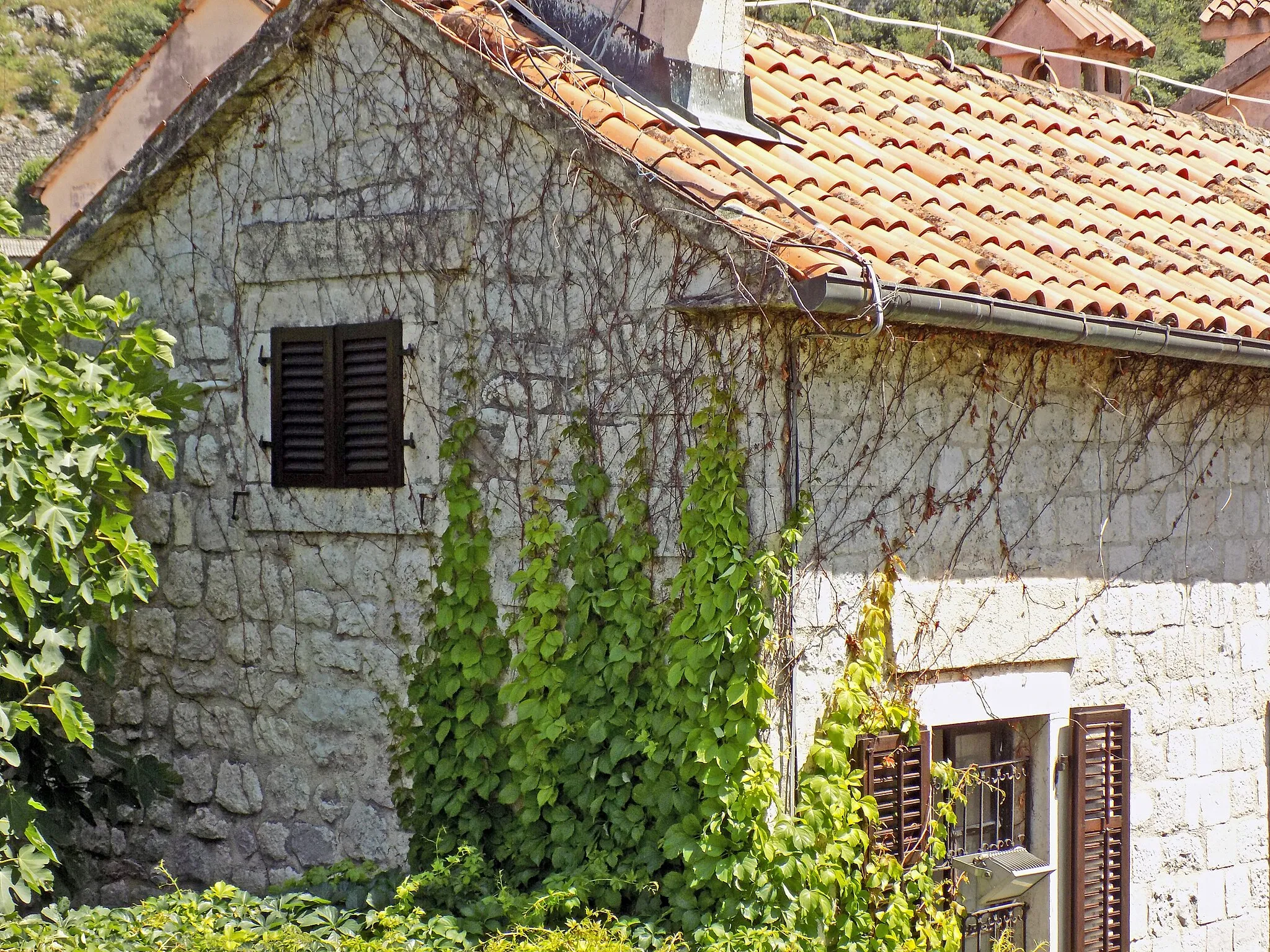 Photo showing: Old houses in the Old town of Kotor