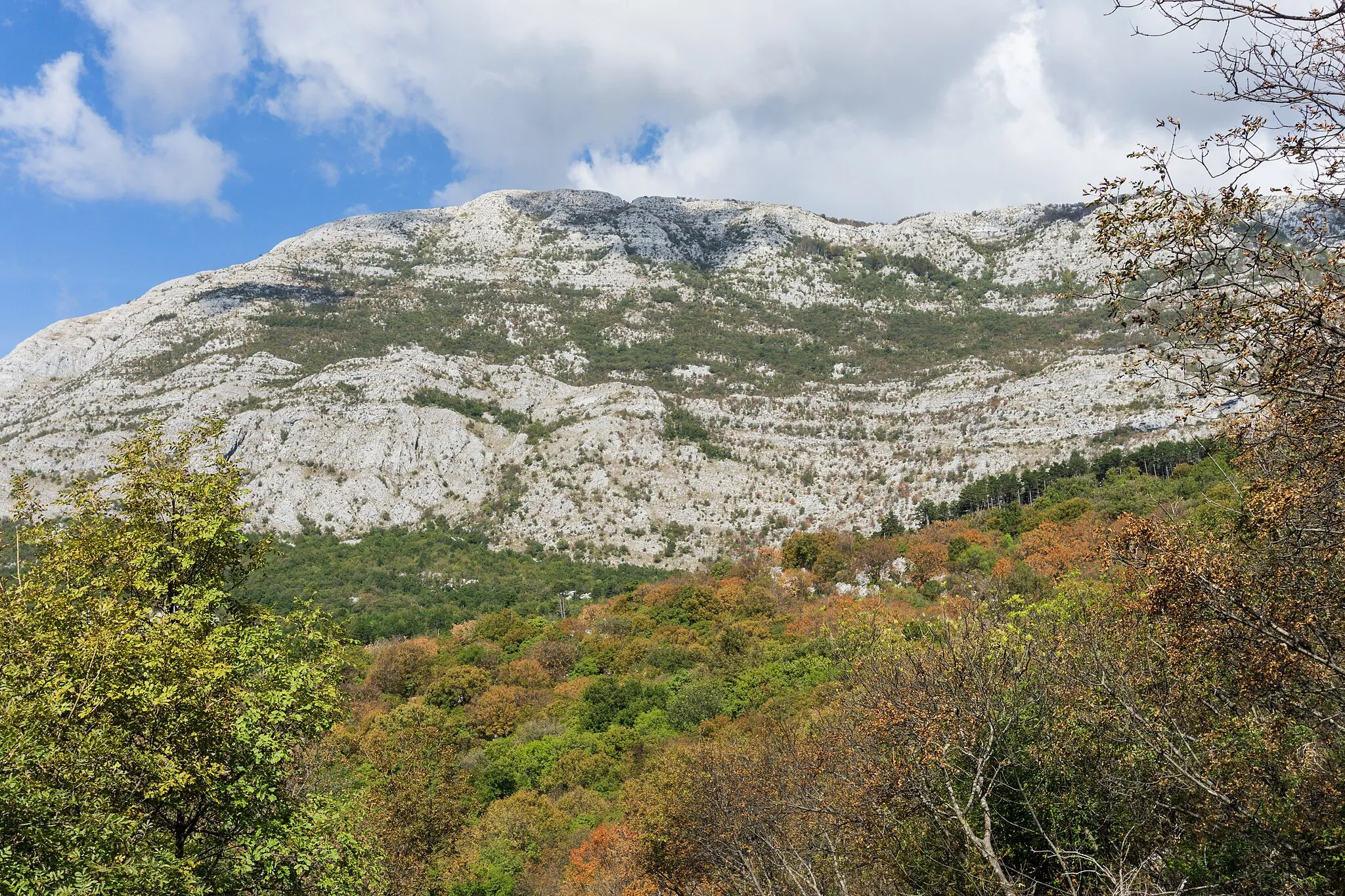 Photo showing: A view north from Žlijebi. Herceg Novi, Montenegro