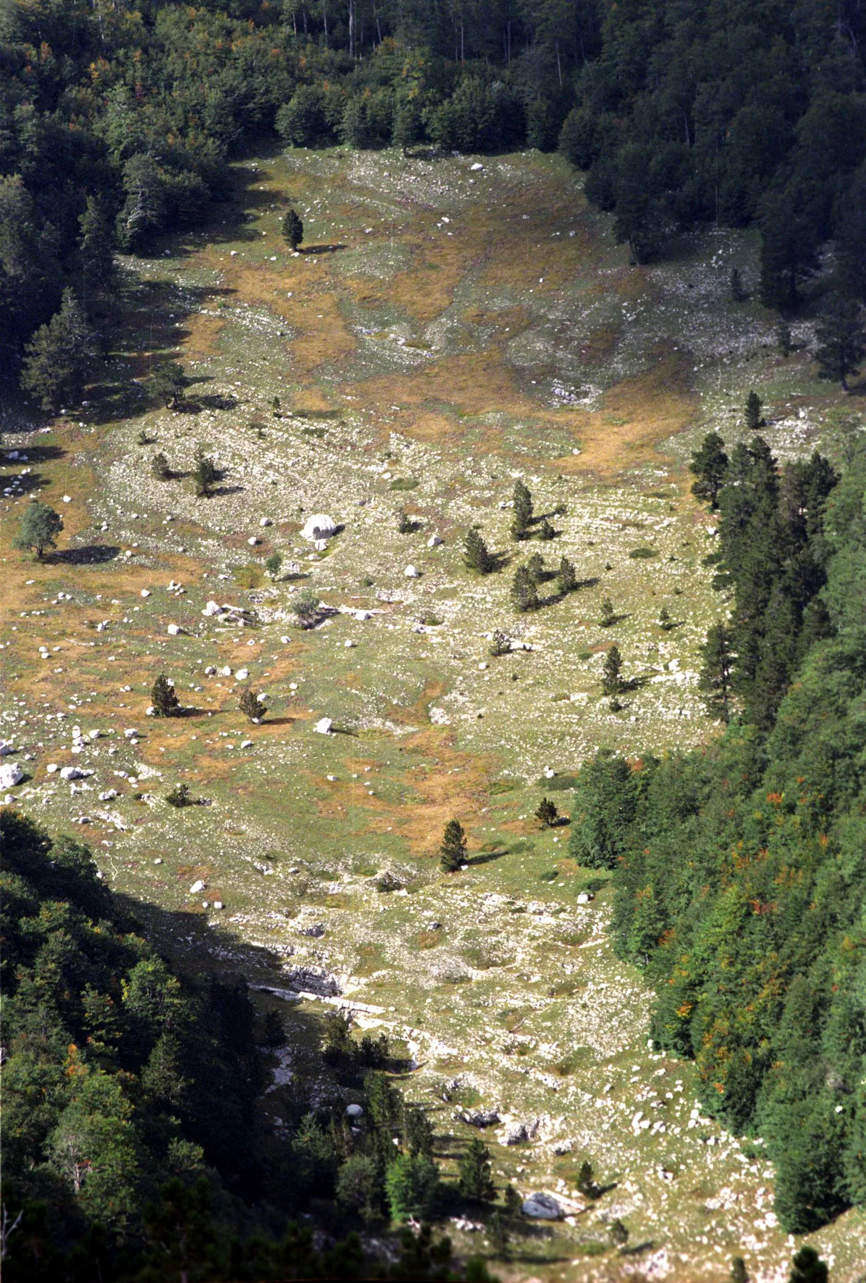 Photo showing: Valley Pirina poljana

Copyright (c)  2002  Pavle Cikovac.