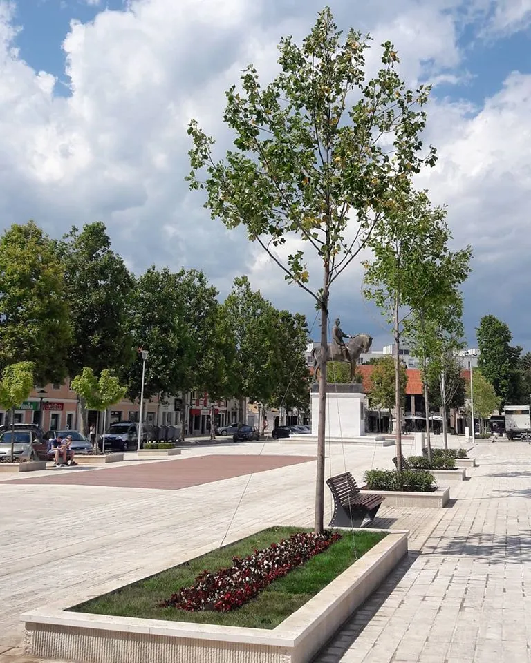 Photo showing: Freedom Square Nikšić on the eve of Statehood Day