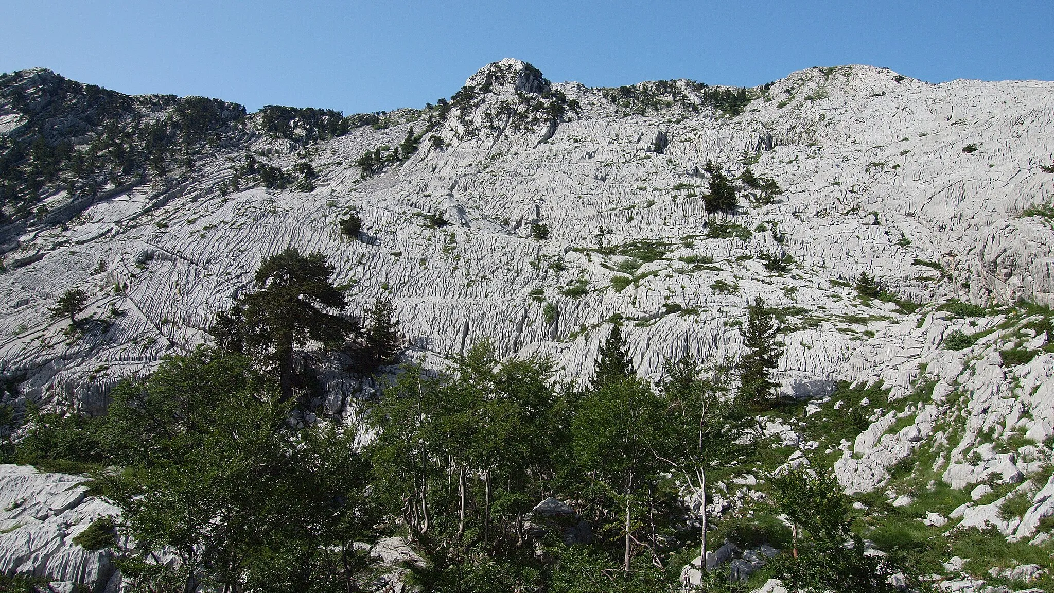 Photo showing: Grikes, Schichttreppe mit Kluftkarren der Reovacka greda, Montenegro