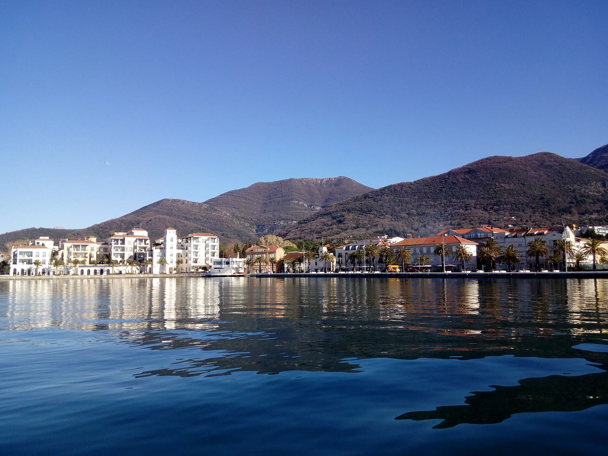 Photo showing: View of Tivat from the sea