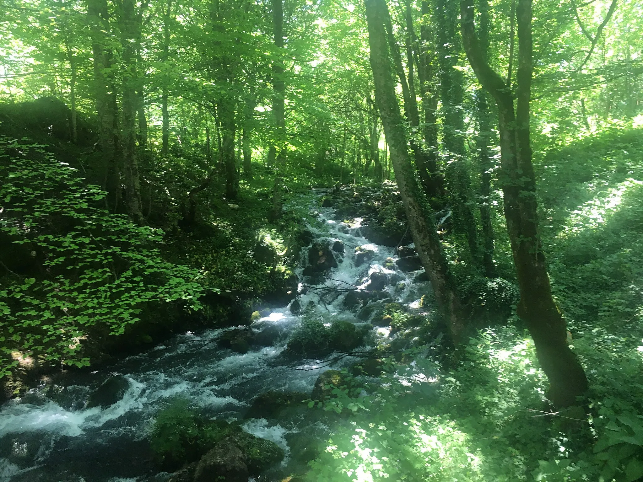 Photo showing: Small mountain stream Bistrica, tributary of Tara river (Montenegro). flows from Siniajevina mountains