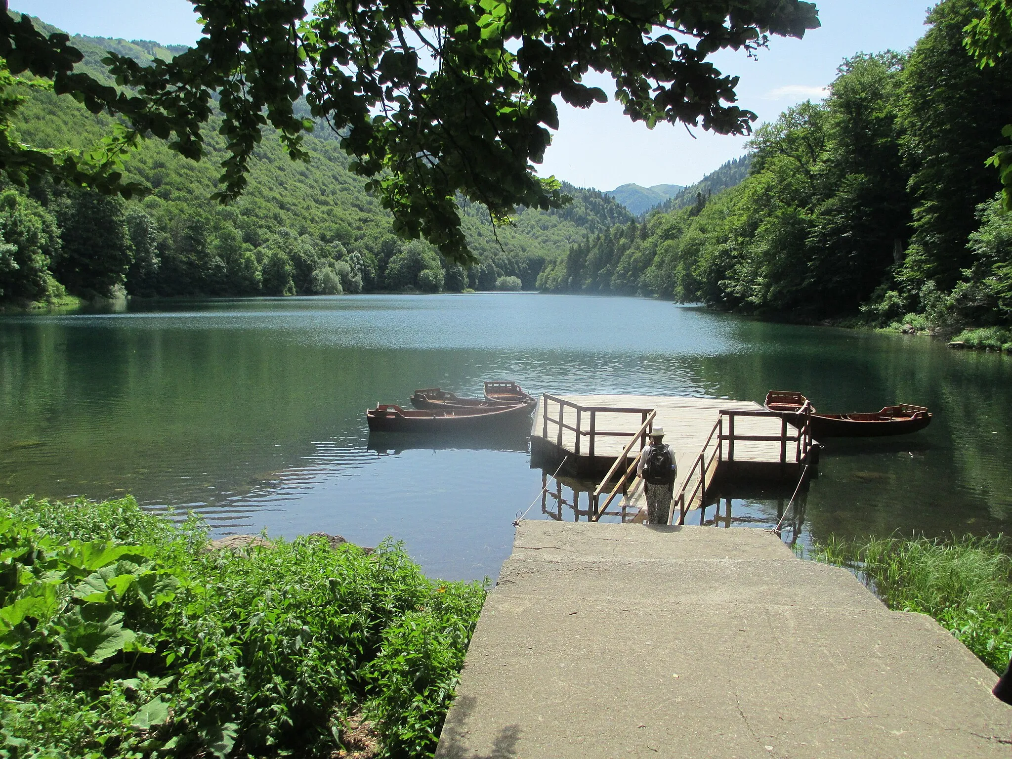 Photo showing: Biogradsko jezero