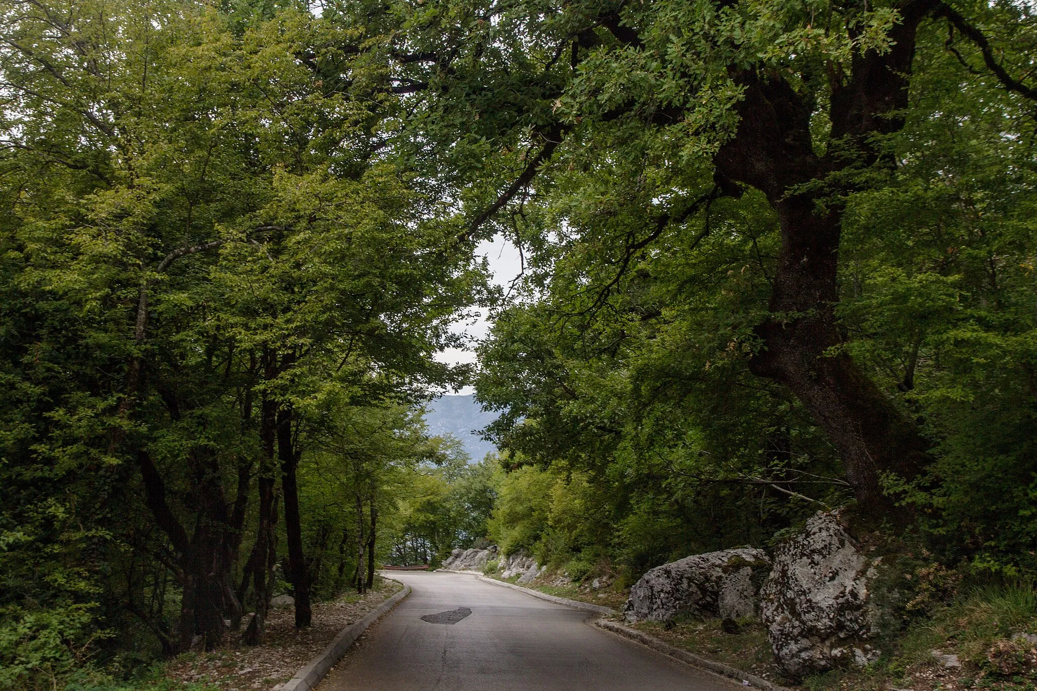 Photo showing: Road to Ostrog monastery