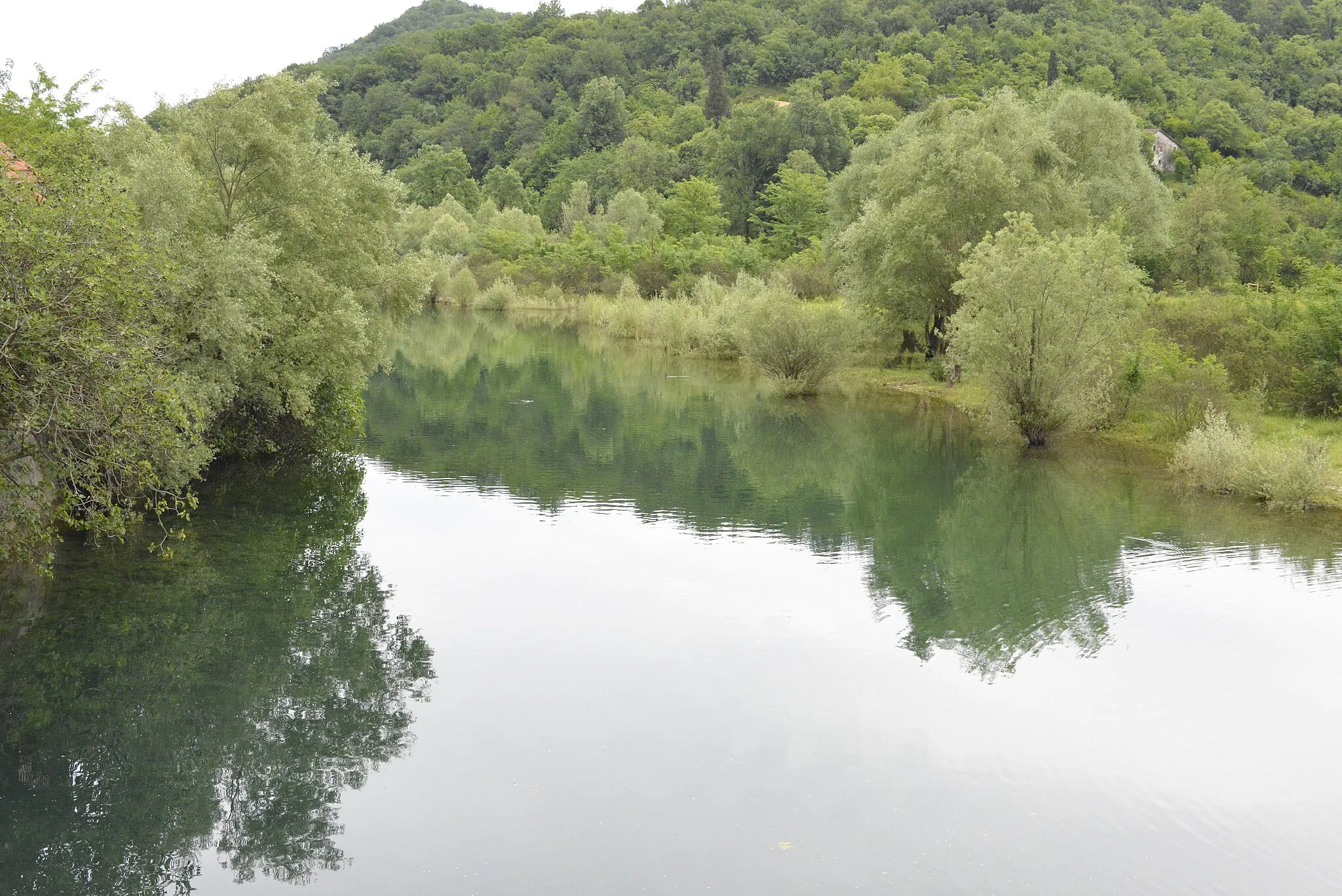 Photo showing: Environment in and around Rijeka Crnojevića, a small town on Lake Skadar (Lake Scutari), Montenegro