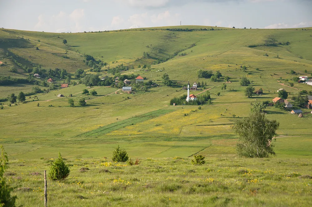 Photo showing: Panoramic scenes of the Pester plateau, karst region in southwestern Serbia. It situated in the area of Raska. The most part of Pešter is located in the municipality of Sjenica. The relief of Pester Plateau is characterized by low, hilly terrain, streams of clean water and vast meadows that are used for grazing sheep and cattle. Pester field is a region of outstanding natural value. A part of Pester is the Uvac River Canyon. In the canyon of the river Uvac nests large colony of eagles, vultures - Gyps fulvus.