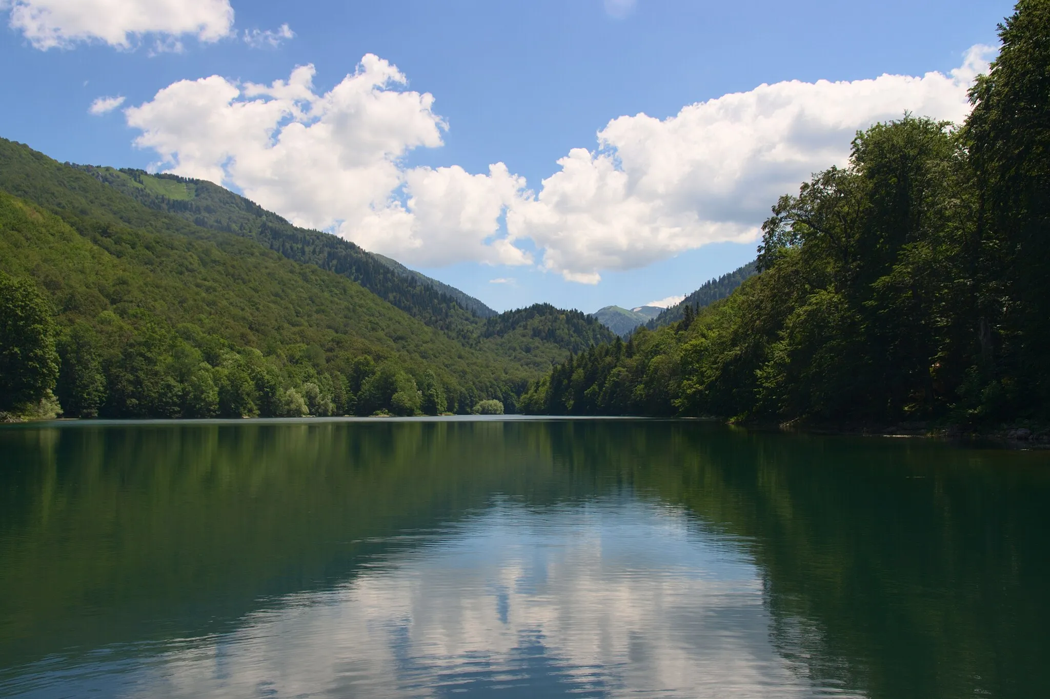 Photo showing: Biogradsko jezero en el Parque nacional Biogradska Gora.