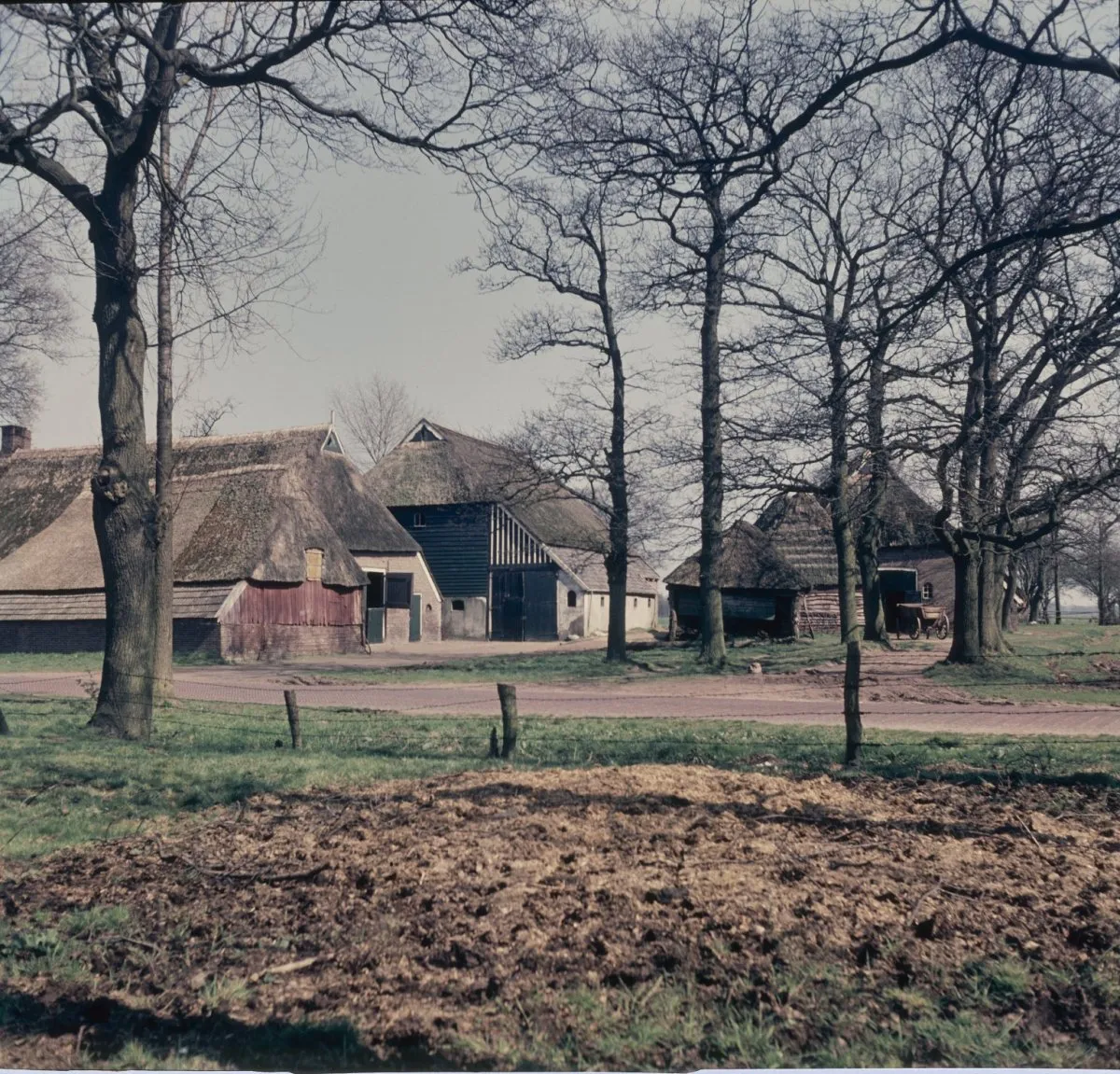 Photo showing: Boerderijen: Zicht op boerderijen