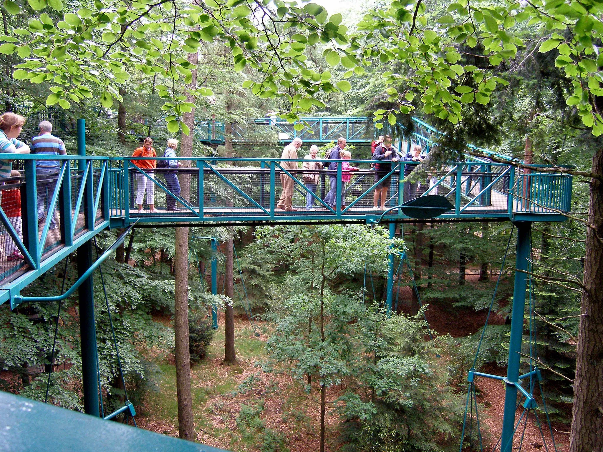 Photo showing: Boomkroonpad (tree top walkway) near Drouwen, (the Netherlands).