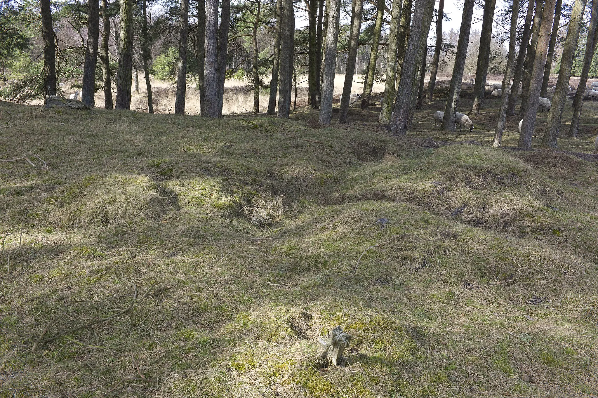 Photo showing: This is an image of a war memorial in the Netherlands, number: