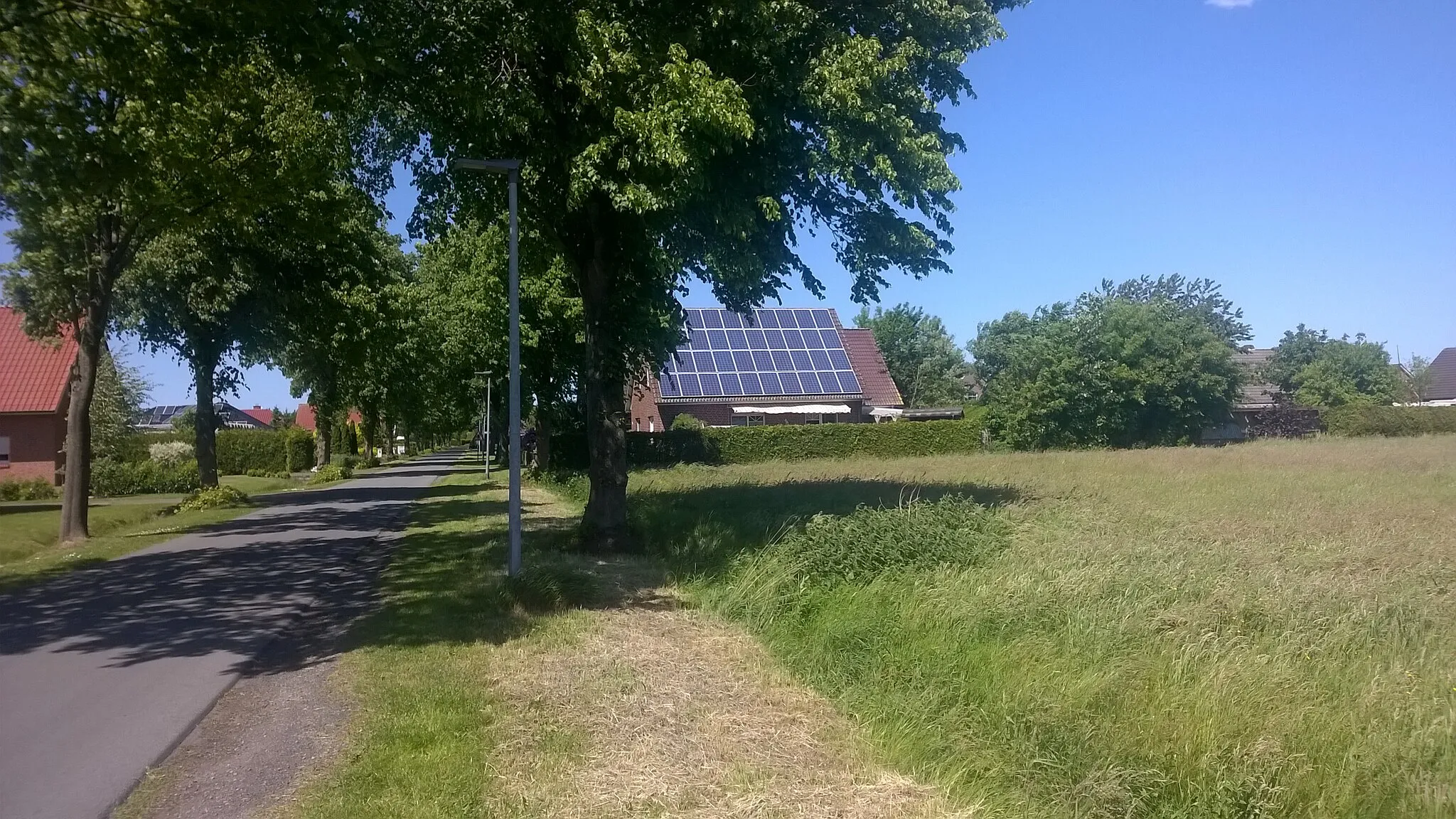 Photo showing: Zonne-energie panelen op een boerderij in het Oost-Friese Wymeer.