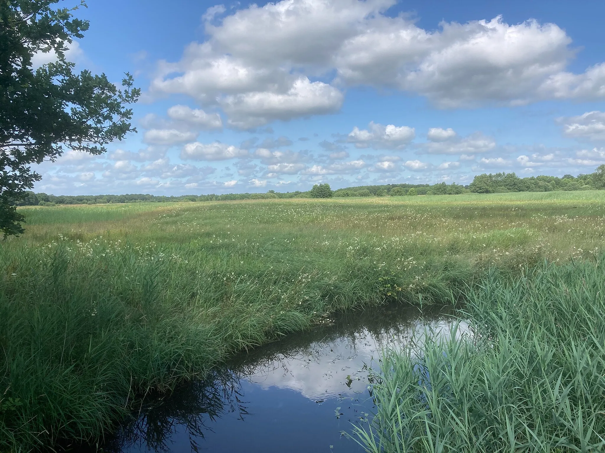 Photo showing: Nationaal Park Drentsche Aa, Oudemolen, Drenthe, Taarlo