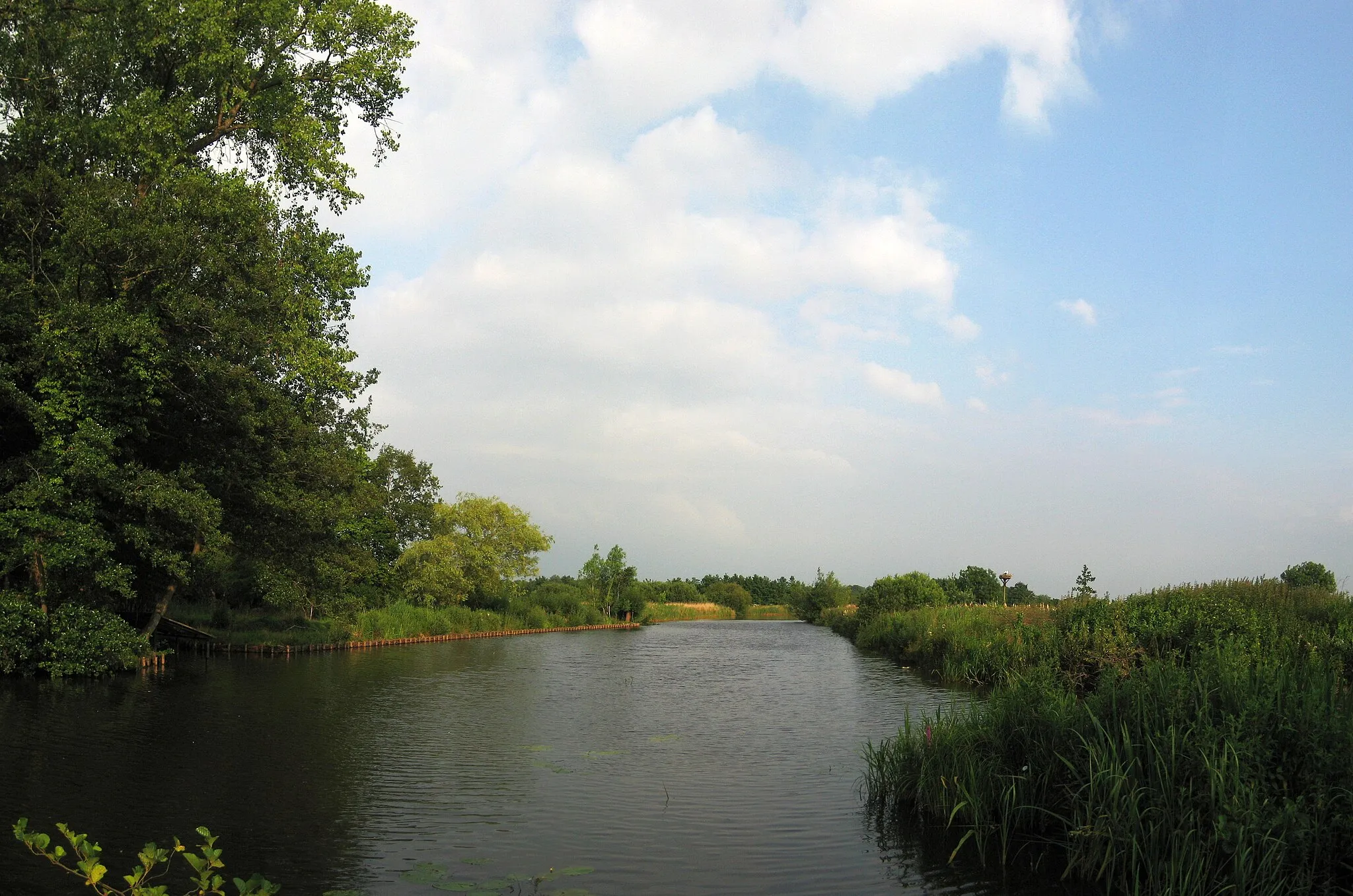 Photo showing: The Drentsche Aa, a river in the Dutch provinces of Drenthe and Groningen.