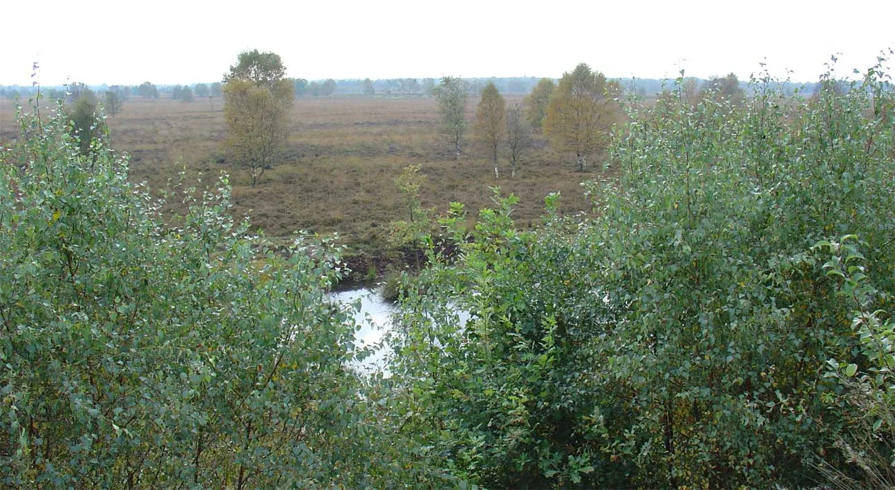 Photo showing: Het Amsterdamsche Veld in het Bargerveen