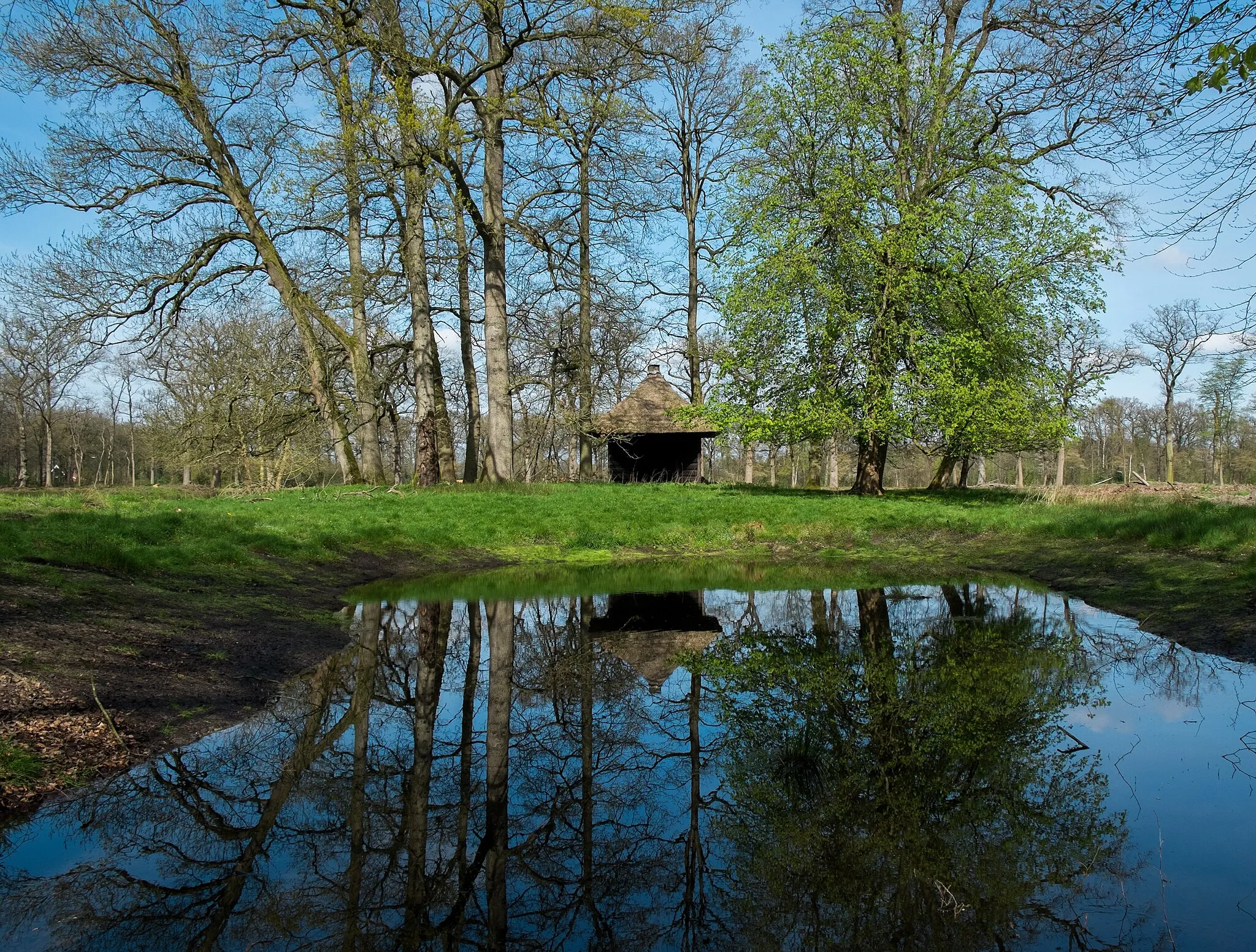 Photo showing: Gebouwtje met rieten dak op landgoed De Braak