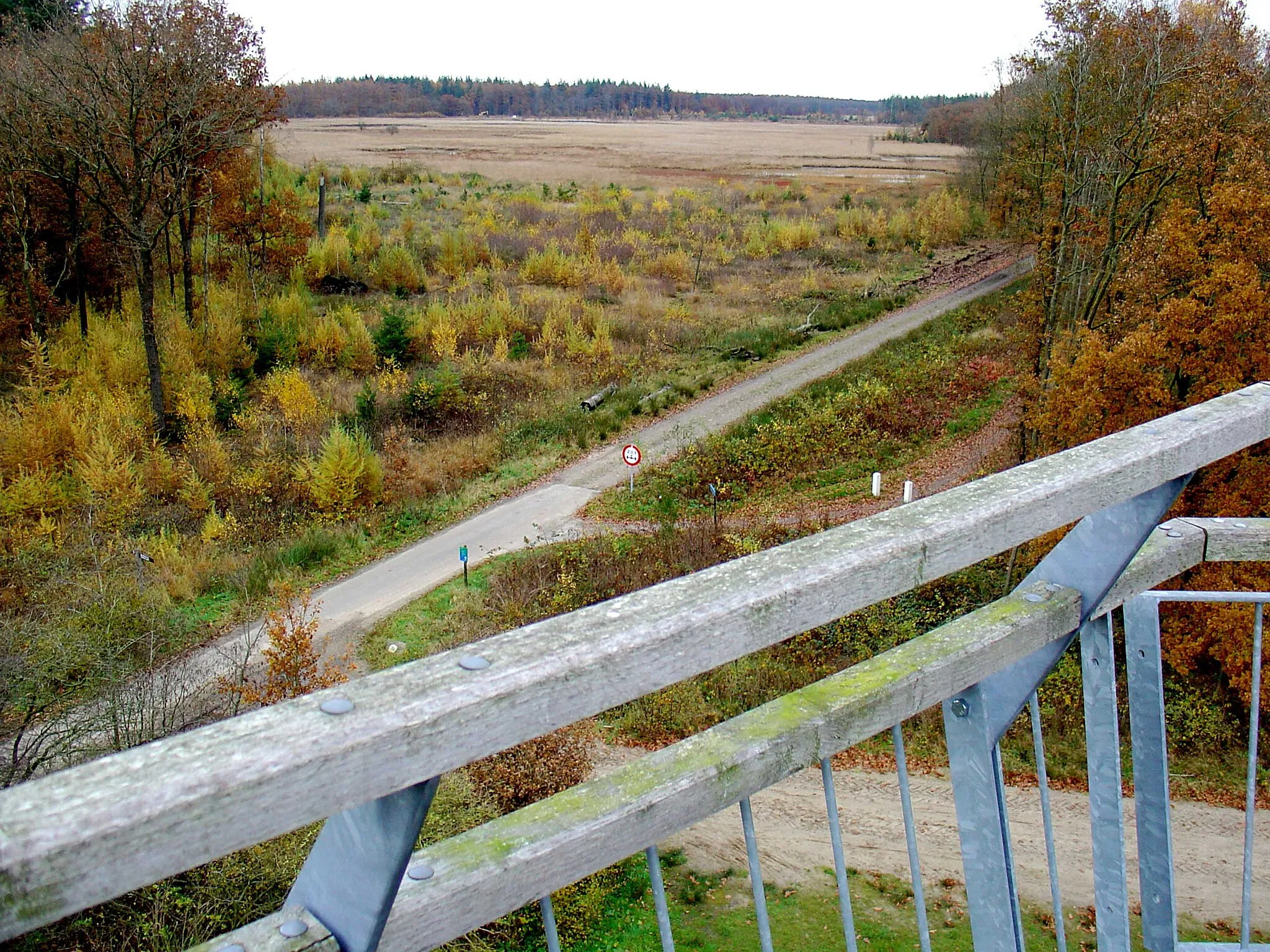 Photo showing: Het natuurgebied Holmers-Halkenbroek onderdeel van het Nationaal beek- en esdorpenlandschap Drentsche Aa