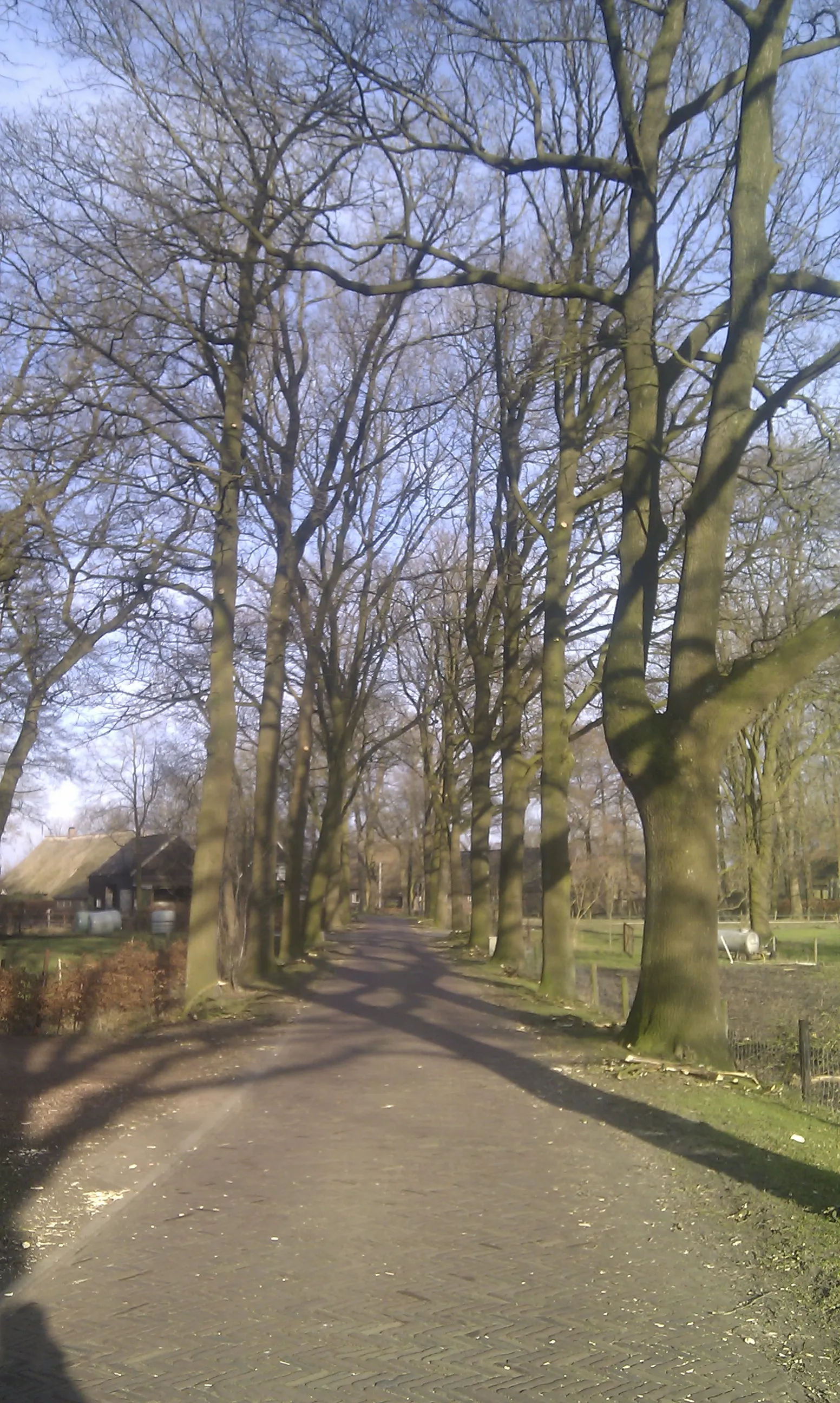 Photo showing: De klinkerweg door het het Oosterse Bos in Schoonbeek.