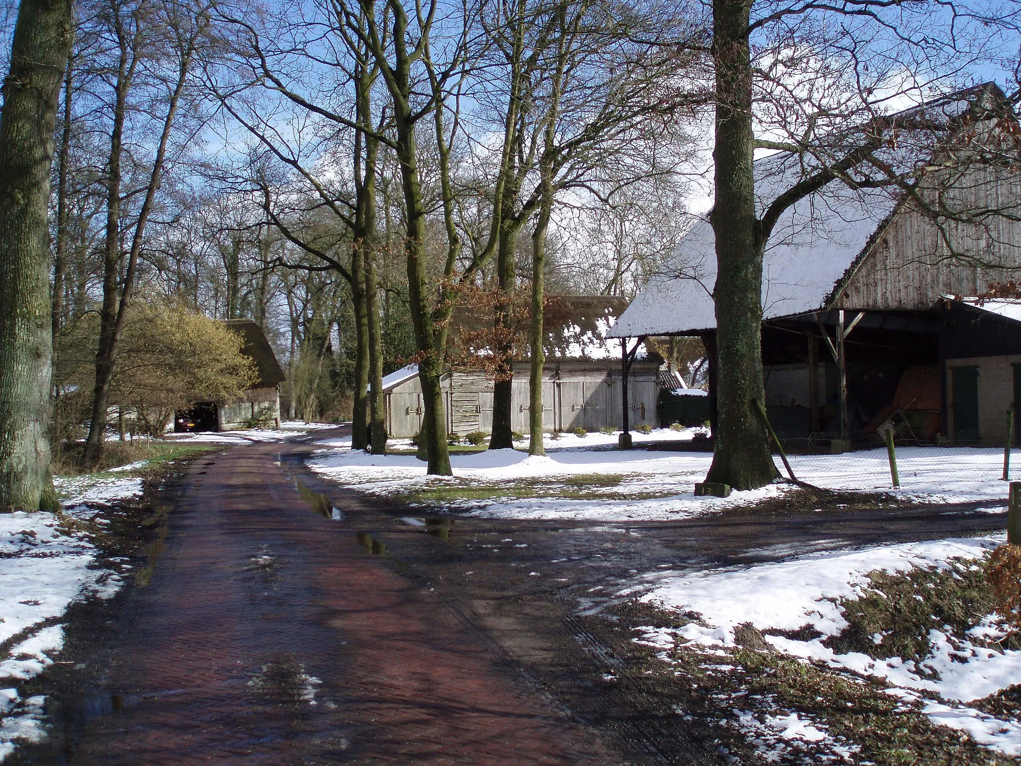 Photo showing: nl:Westerse Bos in de winter