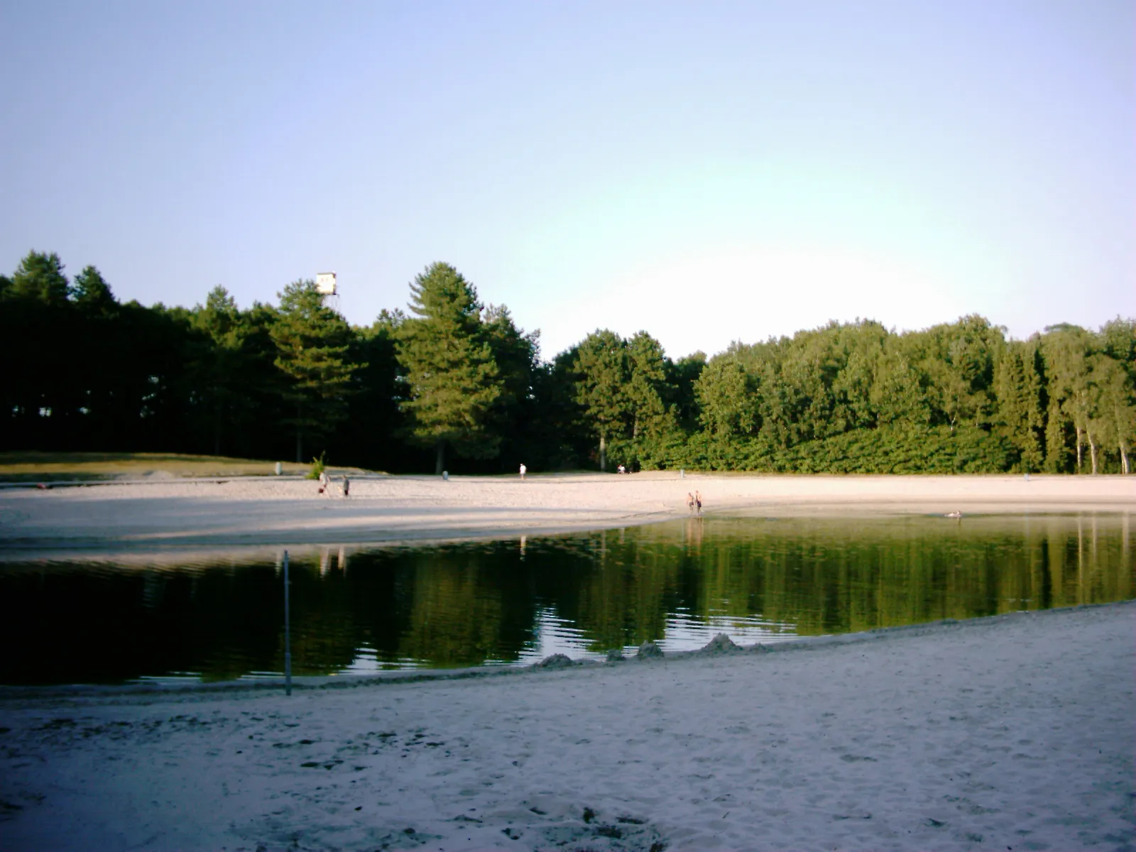 Photo showing: Forest Service Staphorst (Zwarte Dennen). Recreational pond 'de Zwarte Dennen'.