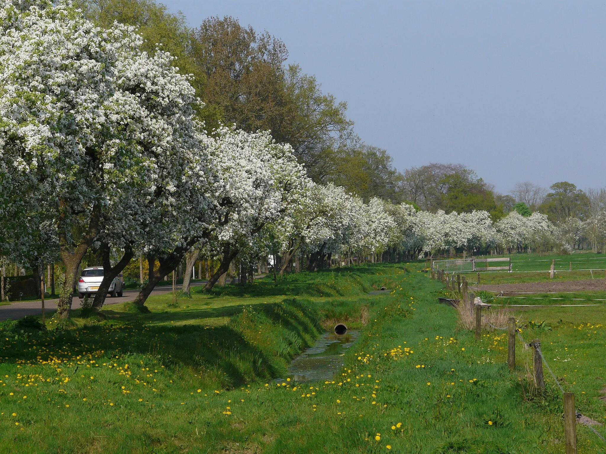 Photo showing: Dokter de Larijweg tussen Ruinerwold en Oosteinde